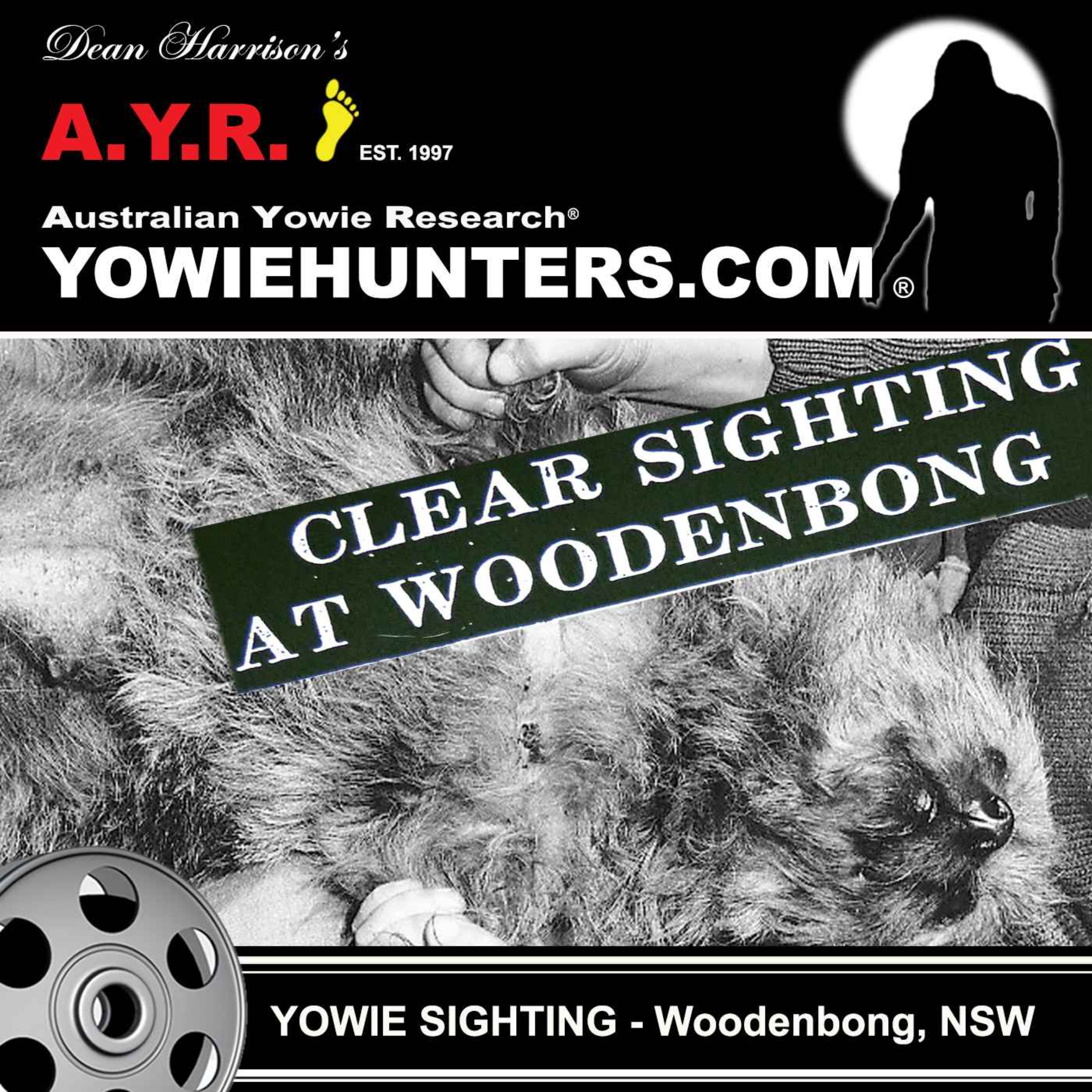 Yowie Sightings at Woodenbong, New South Wales 1977