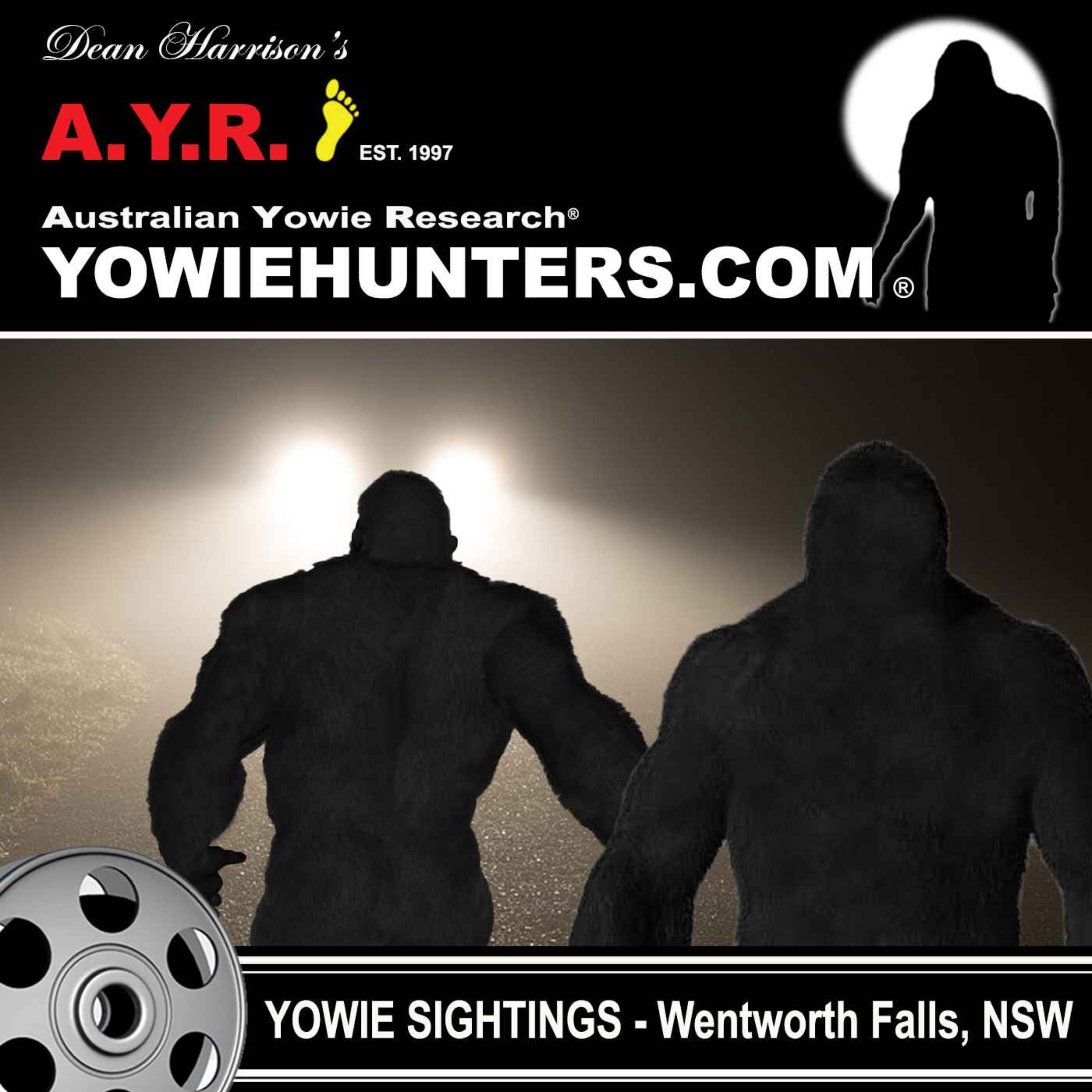 Yowie Sighting at Wentworth Falls, New South Wales - 2003