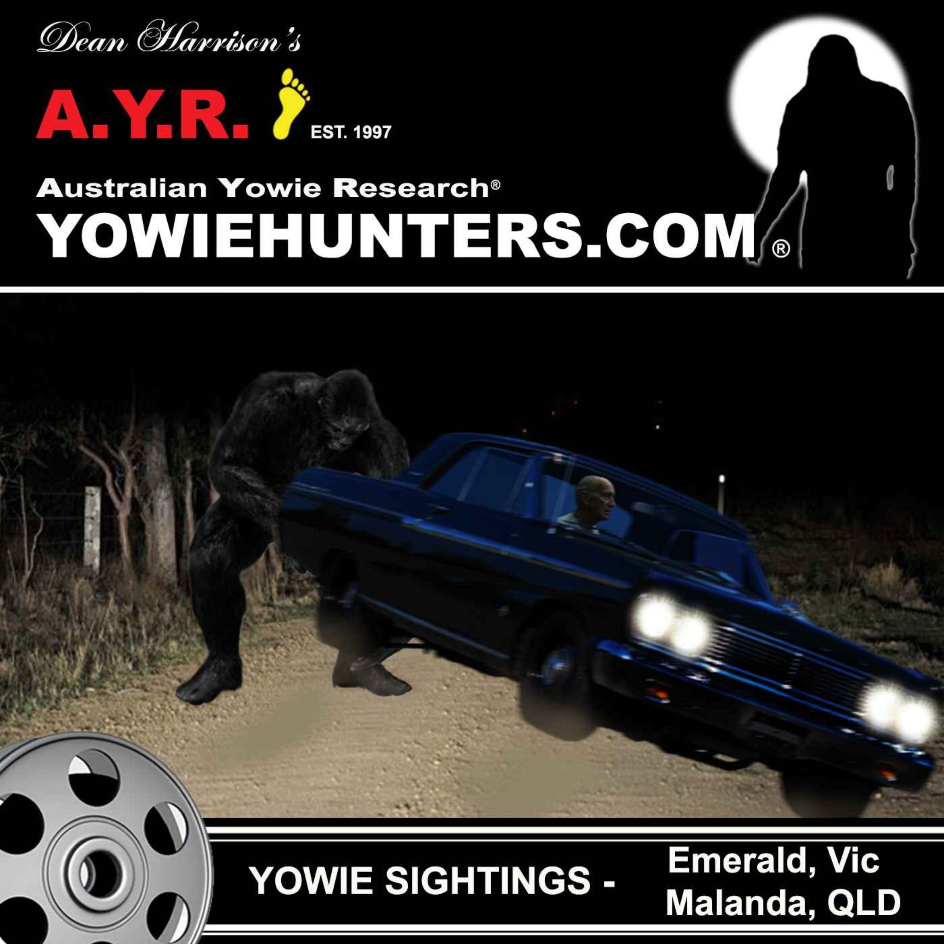 Yowie Sightings at Emerald, Vic & Malanda, QLD