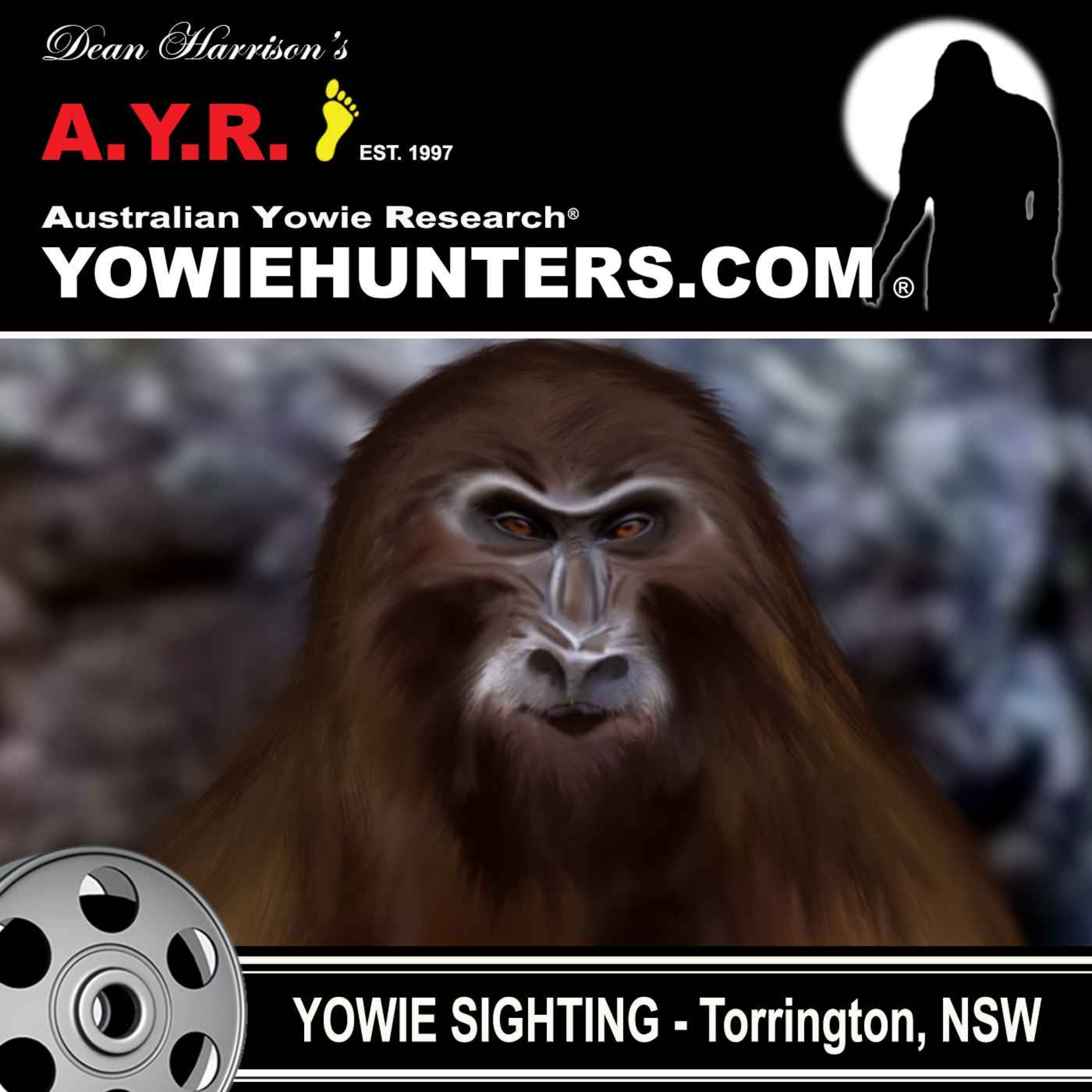 Yowie Sighting near Torrington, New South Wales