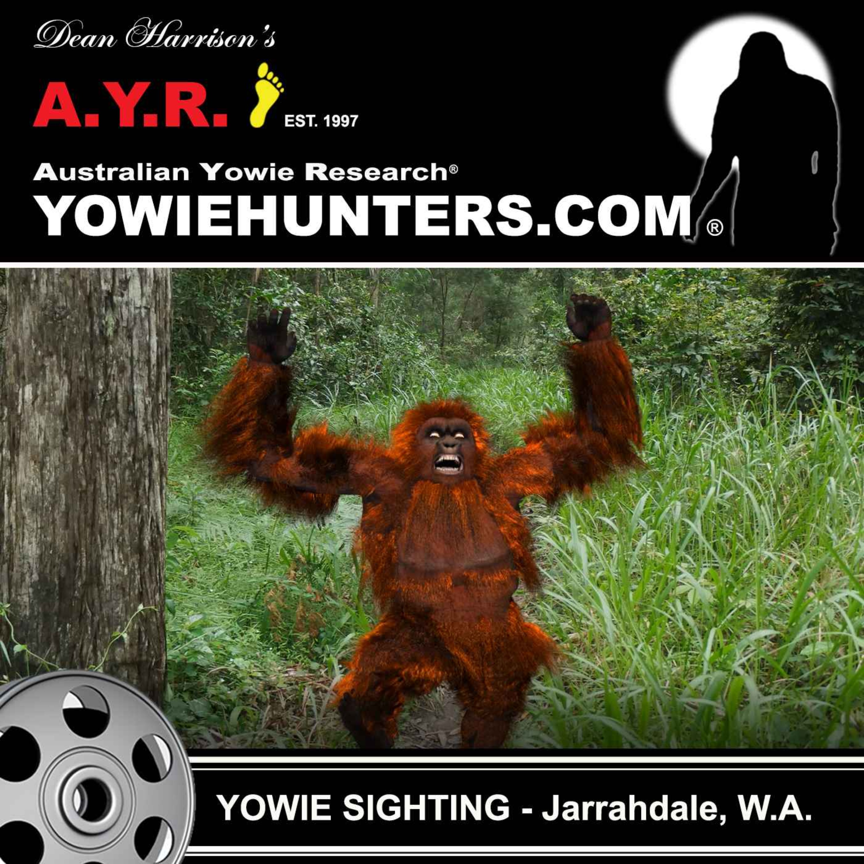 Yowie Sighting at Jarradale, Western Australia - 2020