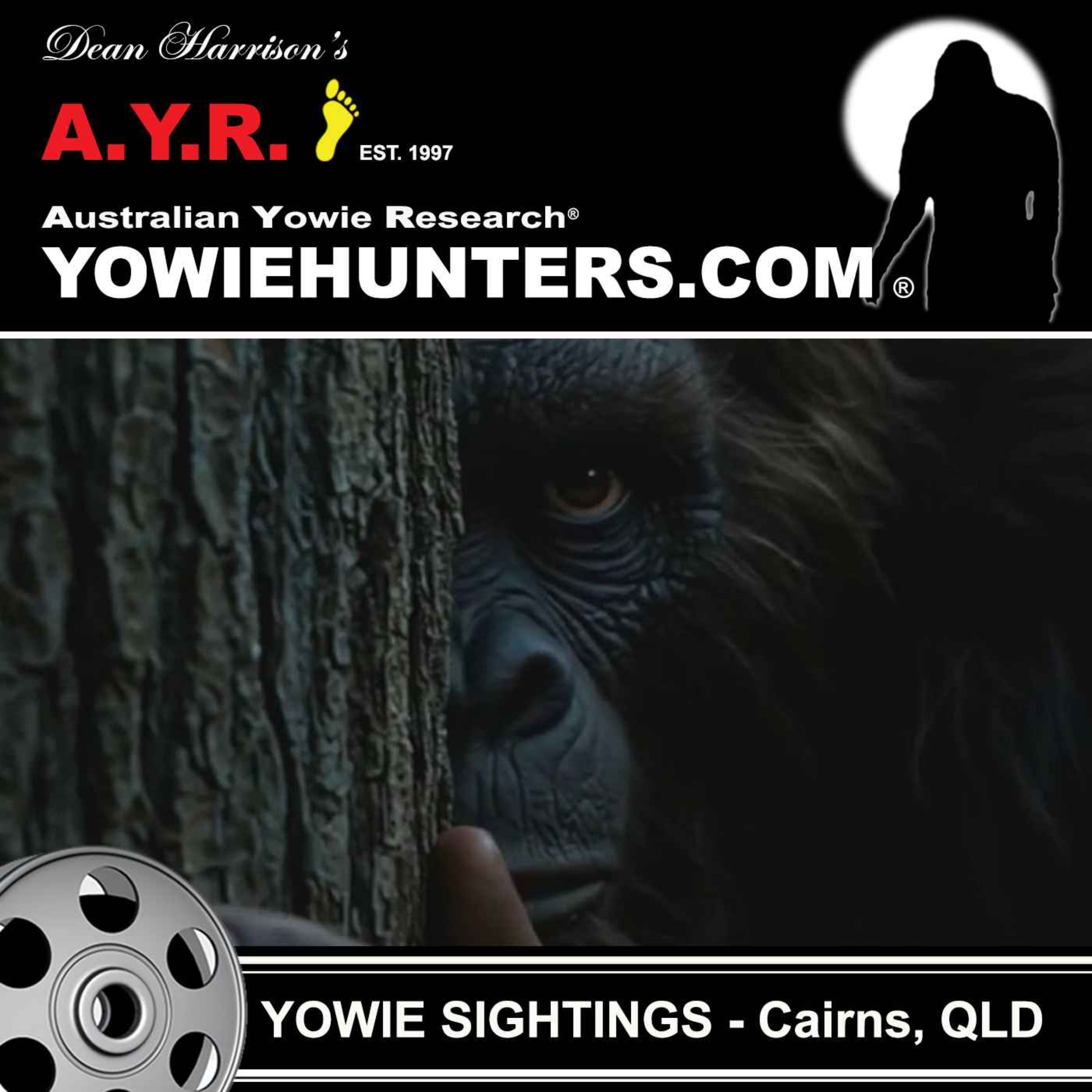 Yowie Sighting at Cairns, Queensland - 1990