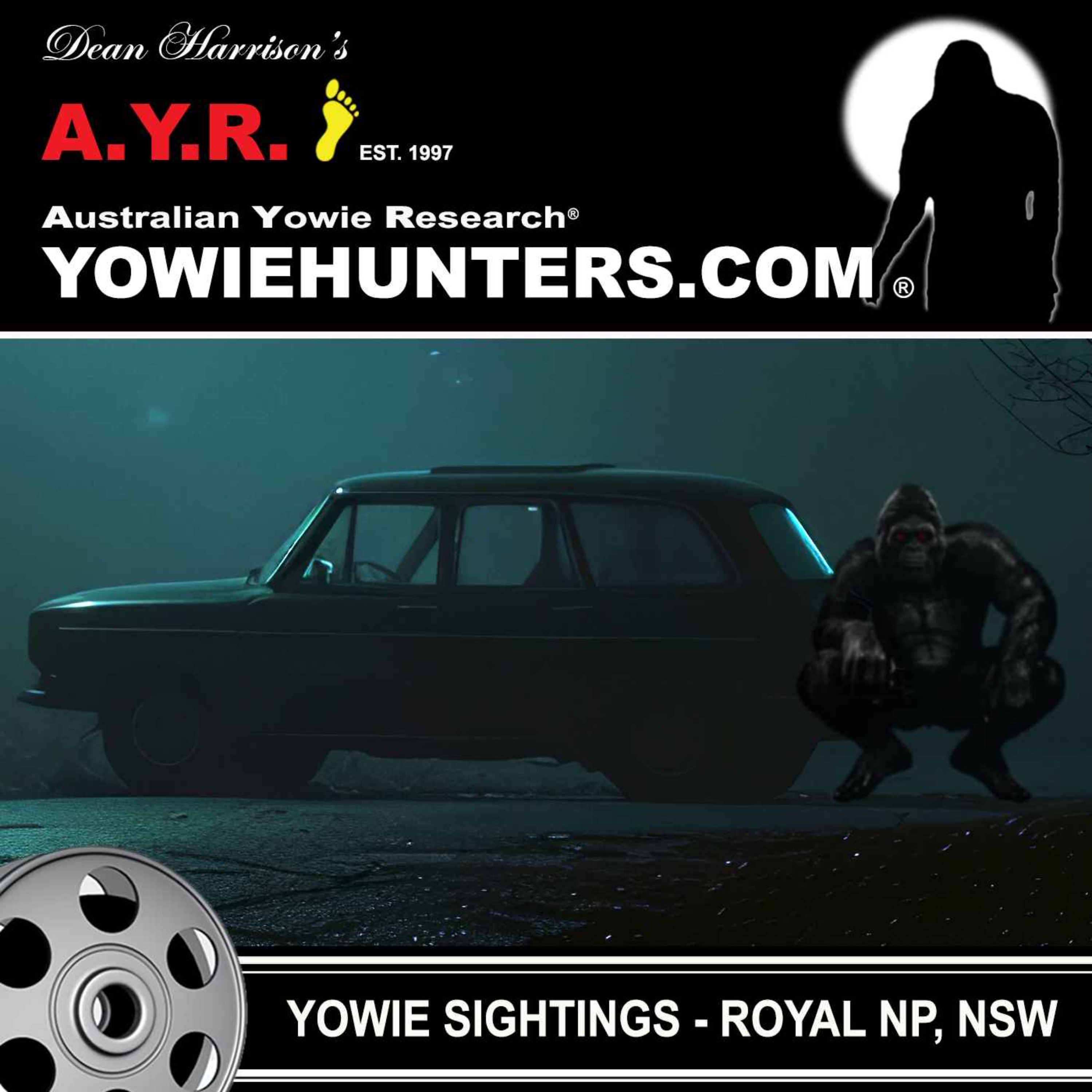 Yowie Sightings at the Royal National Park, New South Wales (3 Sightings)