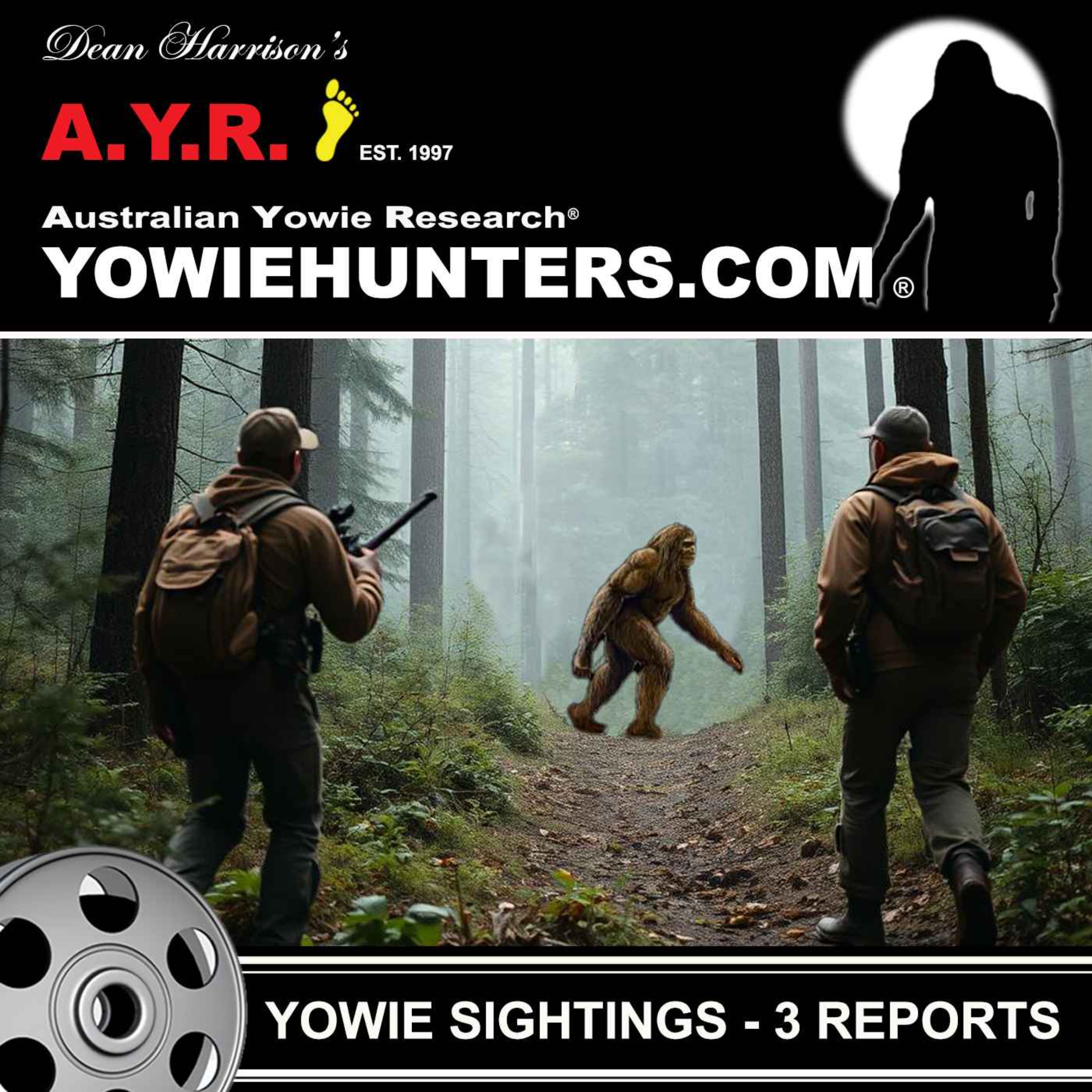 Yowie Sightings at Middle Brother, Bellingen and Harrietville