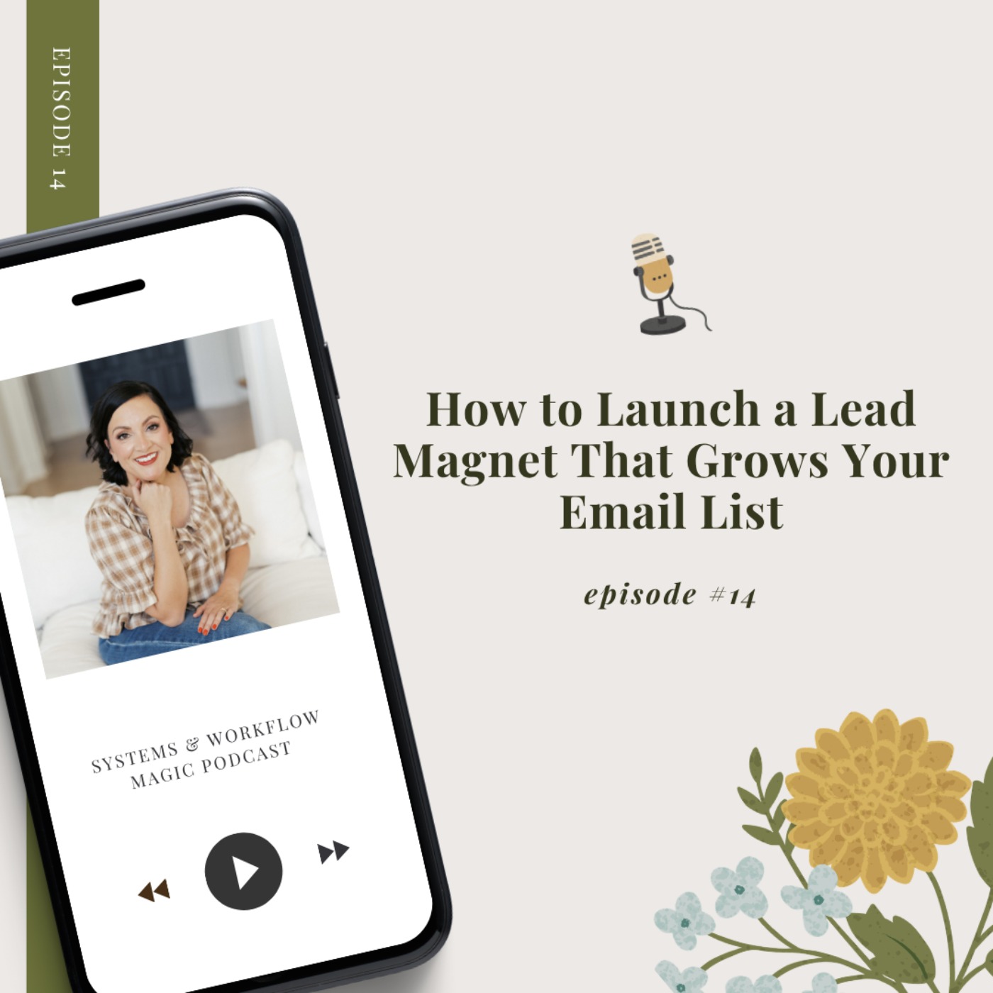 How To launch a lead magnet that grows your email list episode artwork