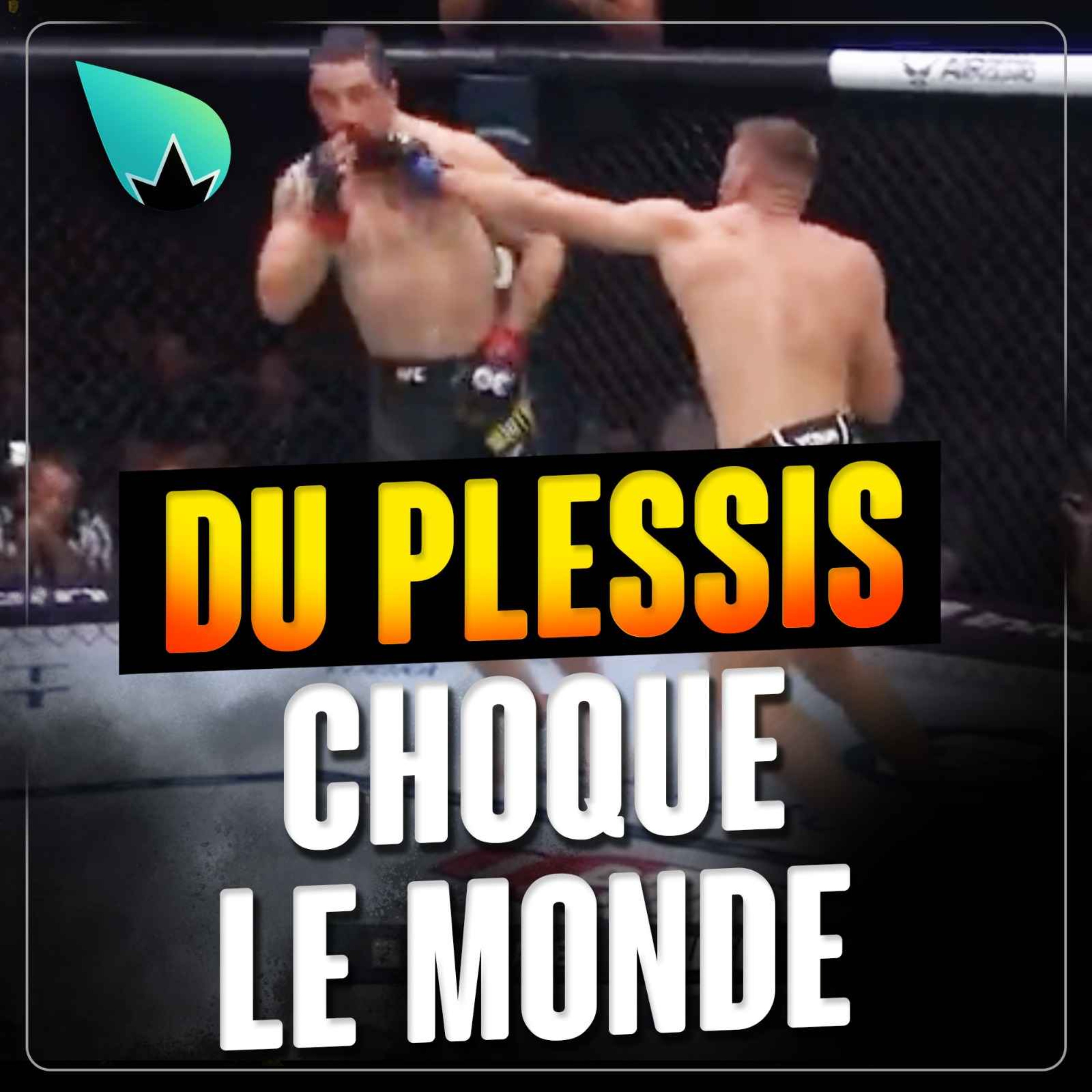 UFC 290 Dricus Du Plessis termine Whittaker !