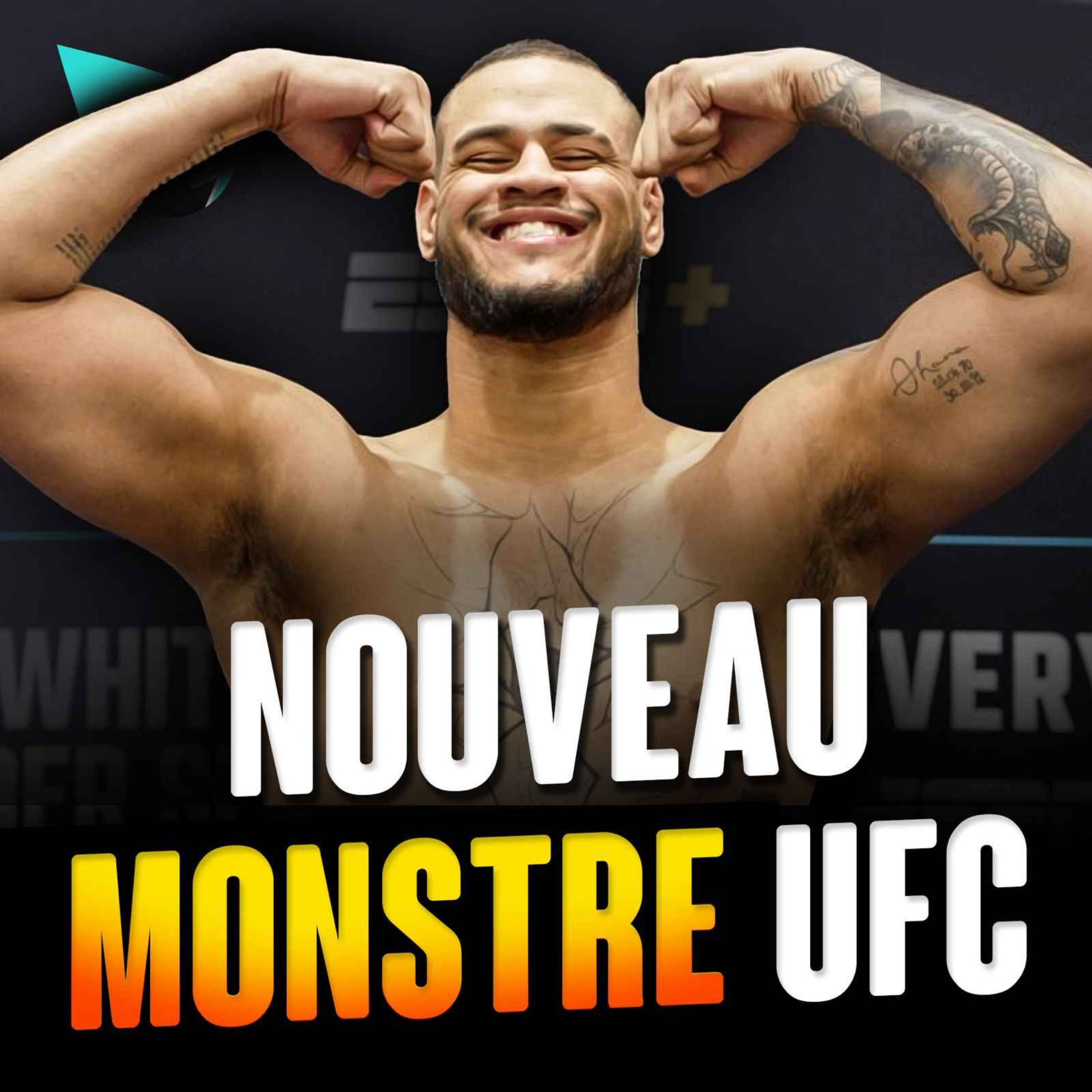 8-0, 100% DE FINISHES AU 1ER ROUND : NOUVEAU MONSTRE DE L'UFC ?!
