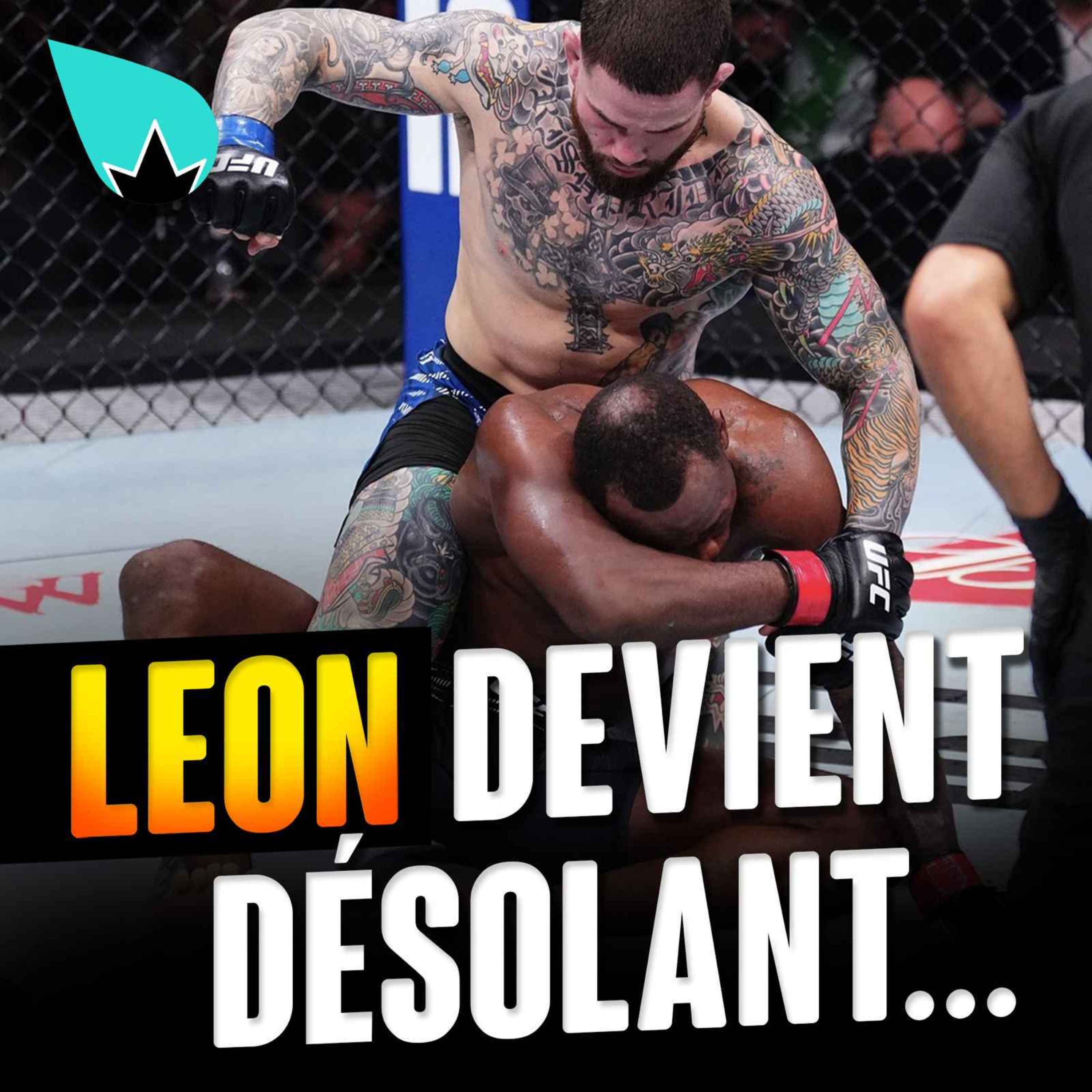 Leon Edwards et l'UFC Londres FRAUDULEUX !!