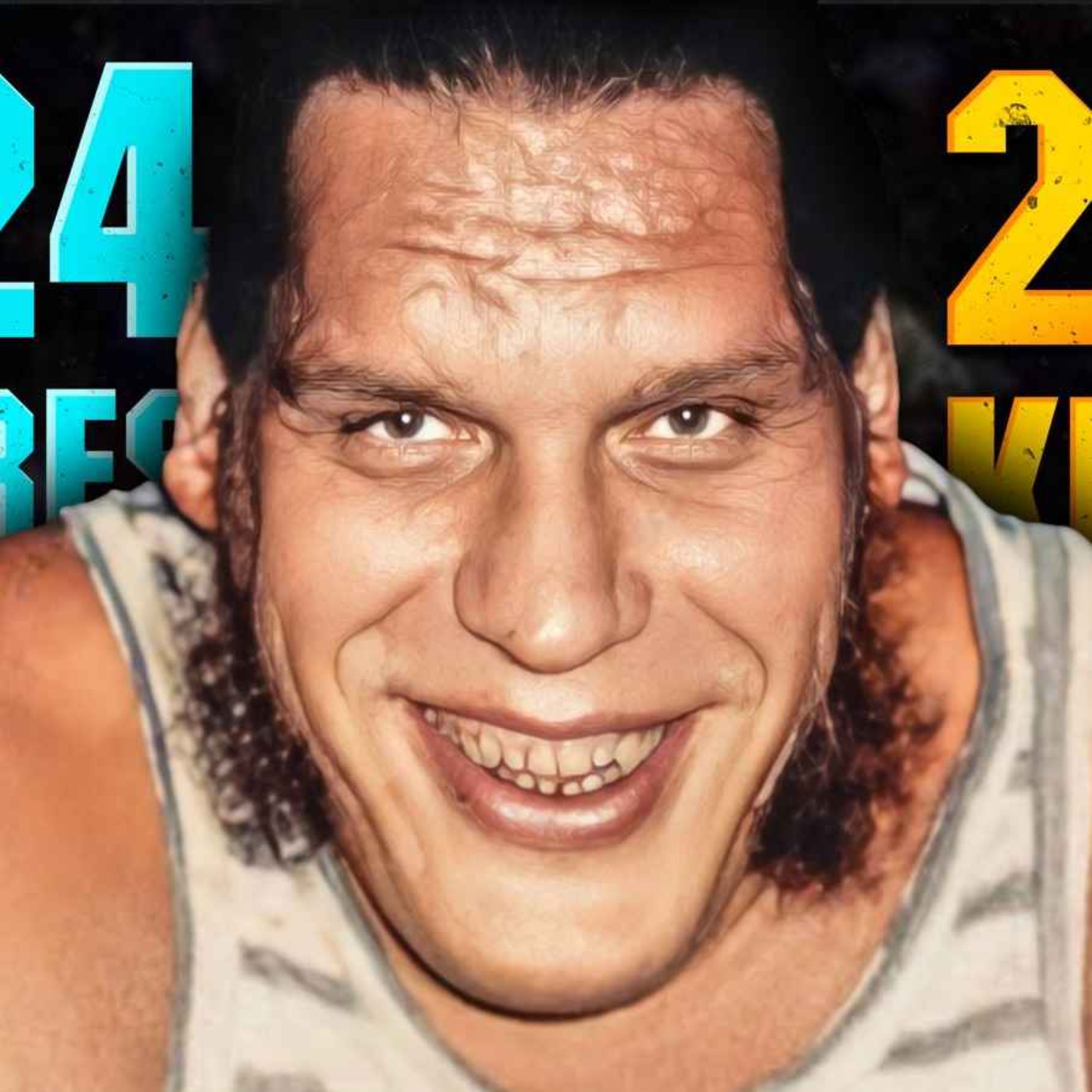 L'Histoire d'André, le Dernier Géant : 2.24m et 250 KILOS episode artwork