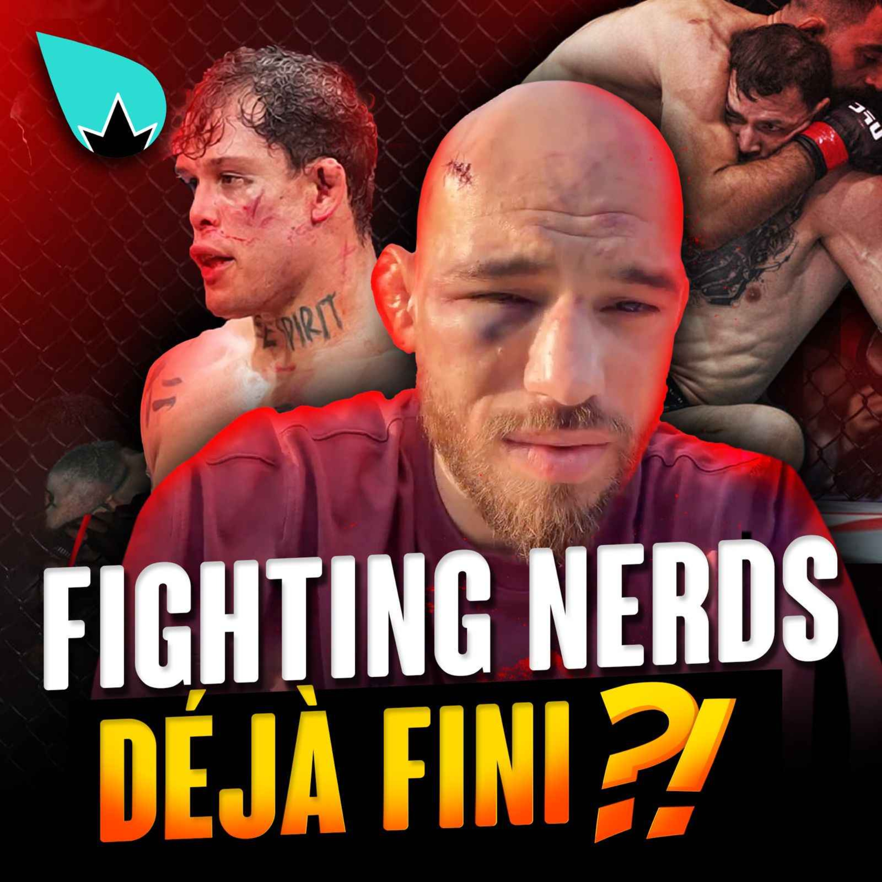 Fighting Nerds & le cas Jean Silva : Frauduleux ? episode artwork