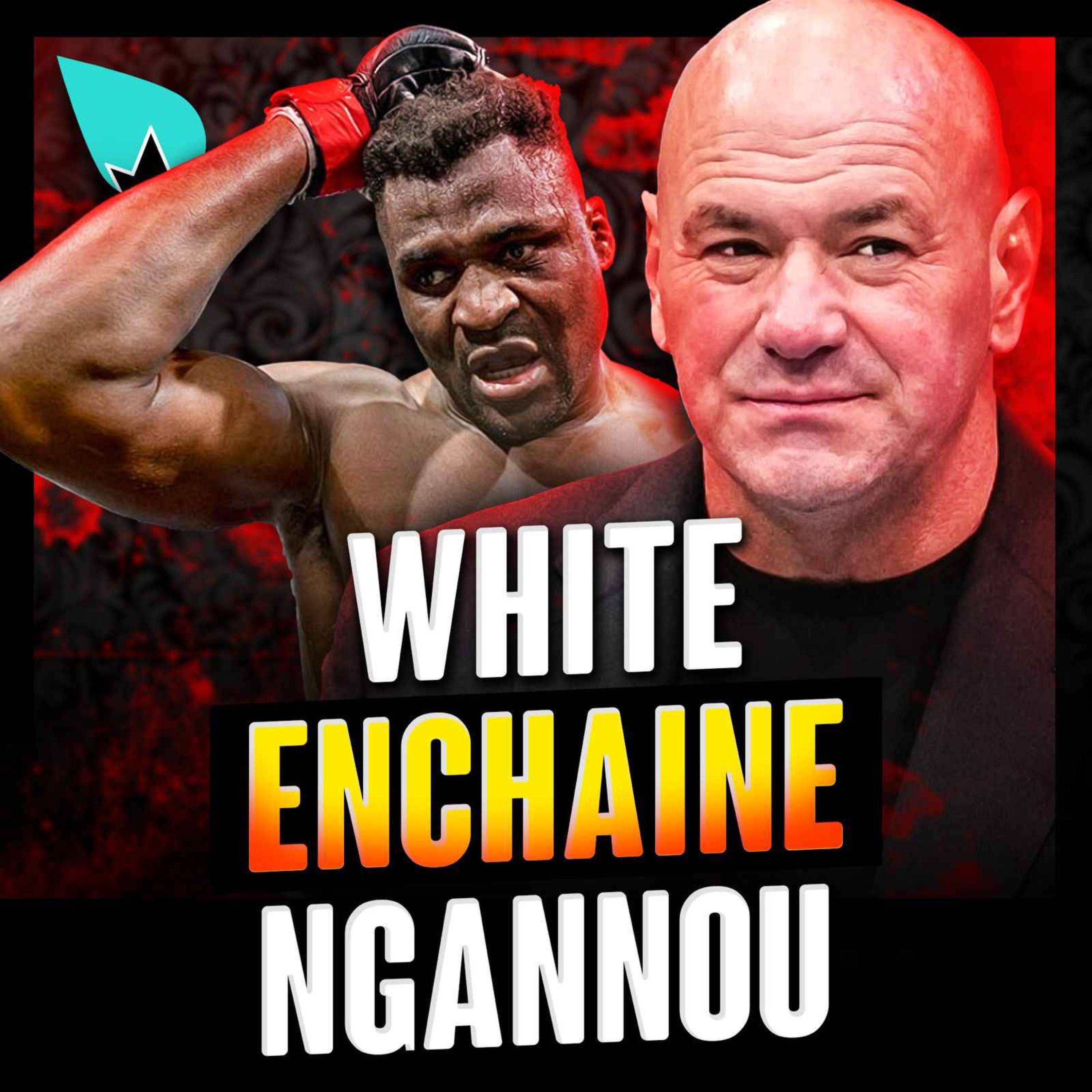 Dana White vs Francis Ngannou : ça continue...