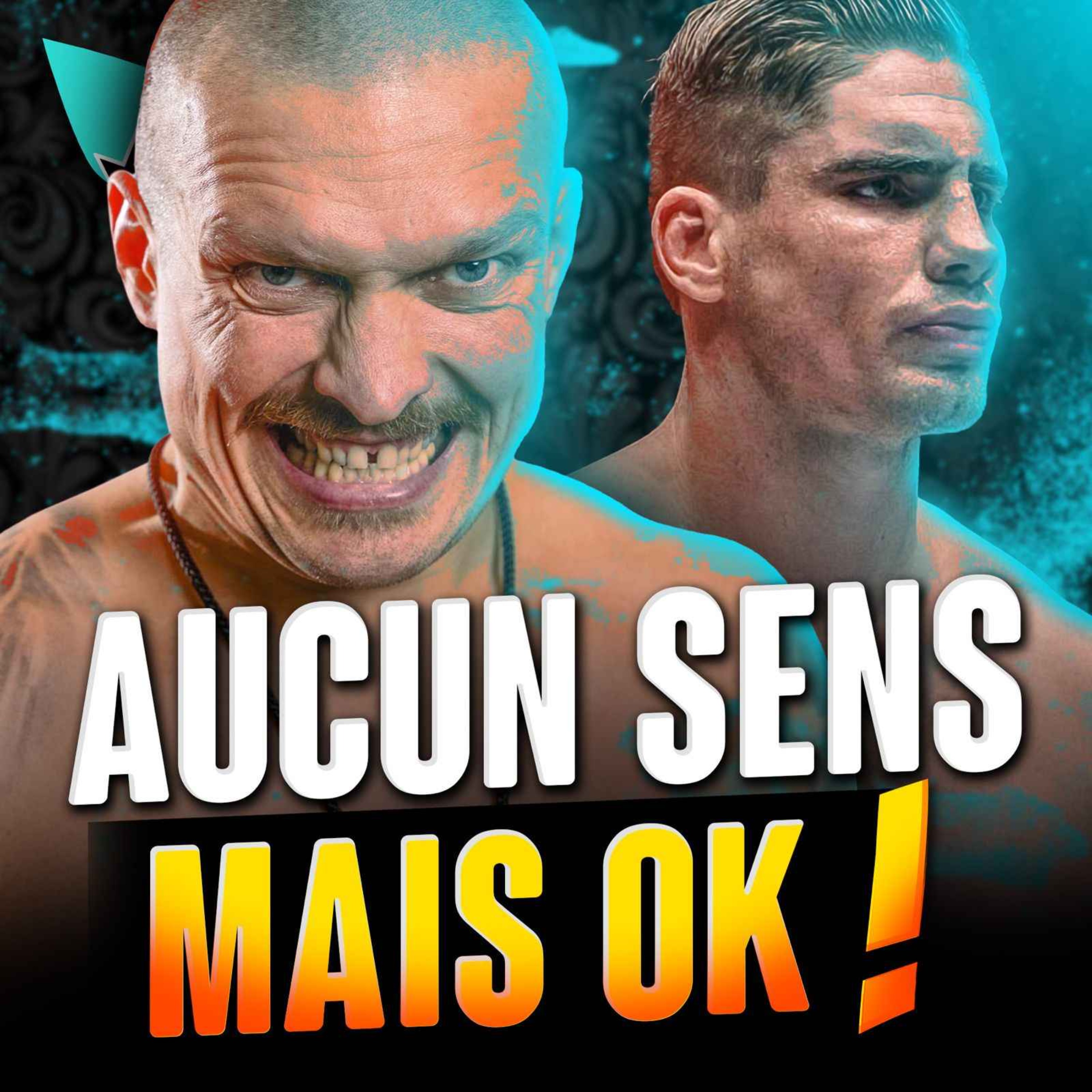 Usyk vs Rico Verhoeven : C'EST REEL!!