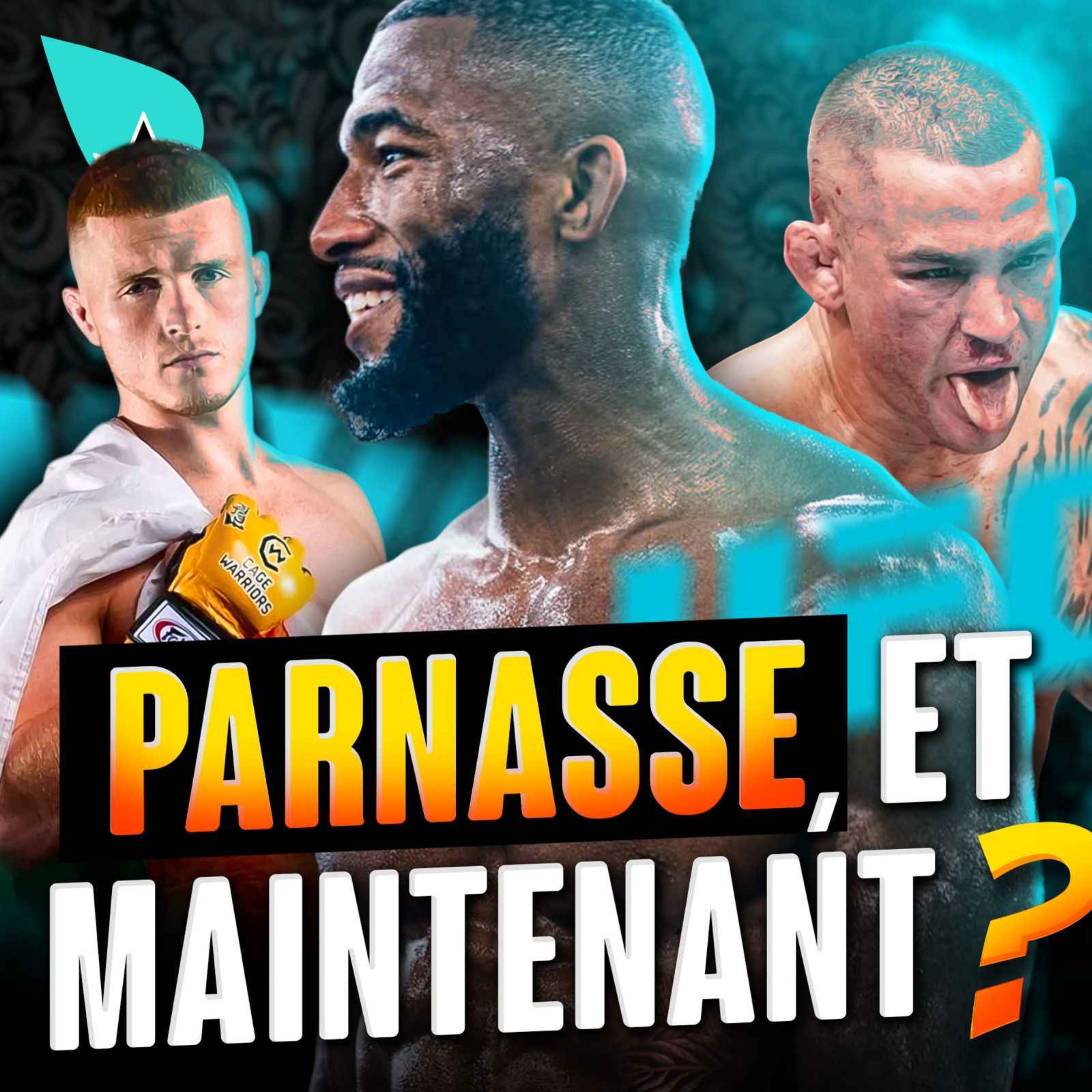 Salahdine Parnasse : que faire ? episode artwork