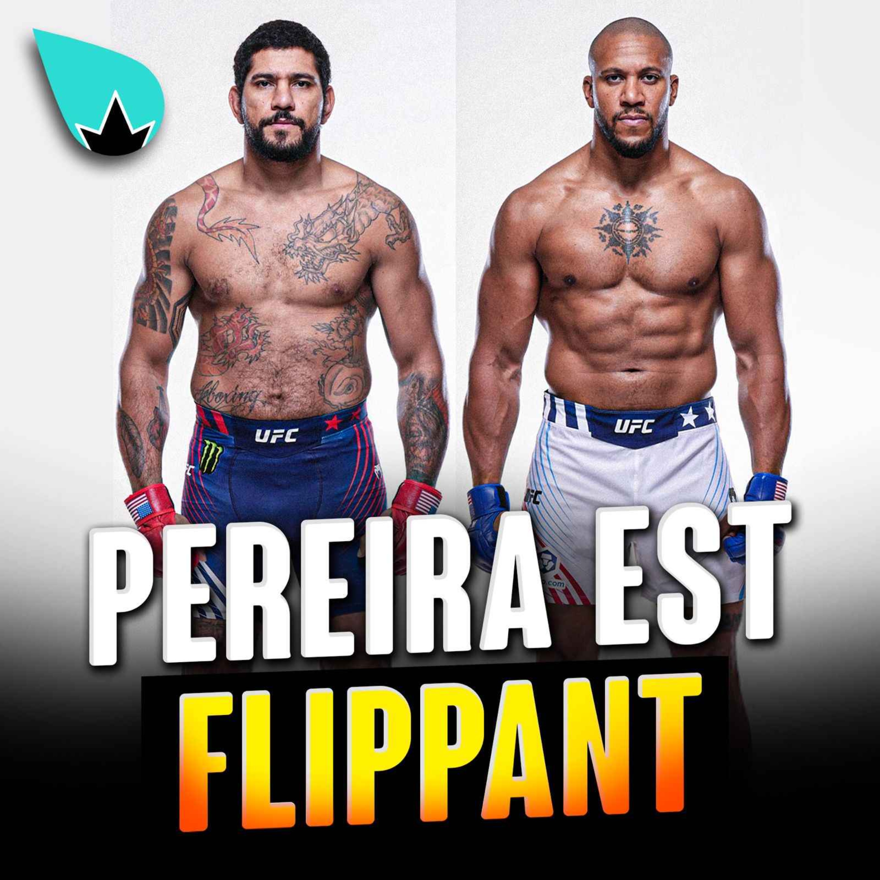 Ça sent pas bon ? episode artwork