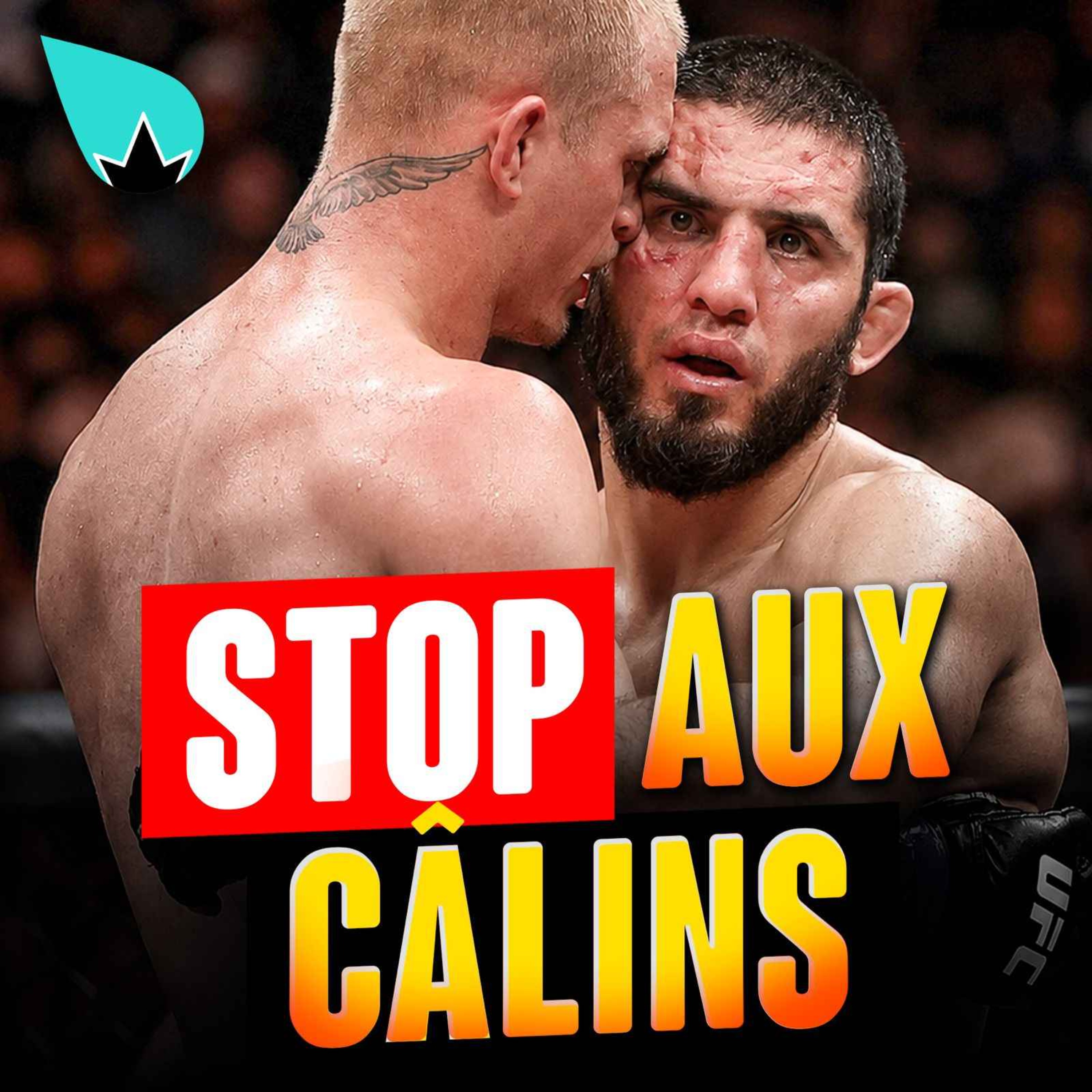 STOP AUX CALINS