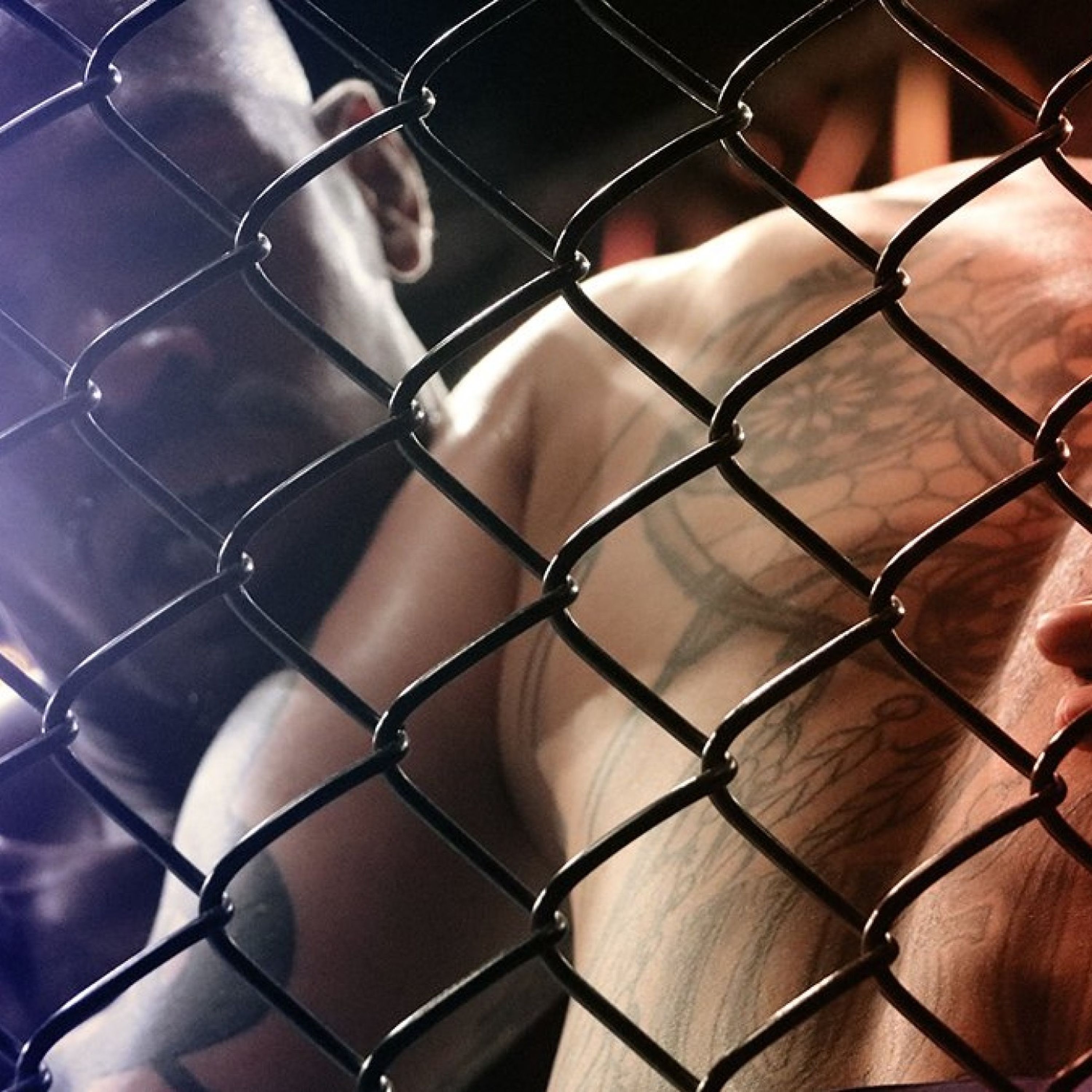 Compétitions de MMA en France. ENFIN LÉGALISÉES!