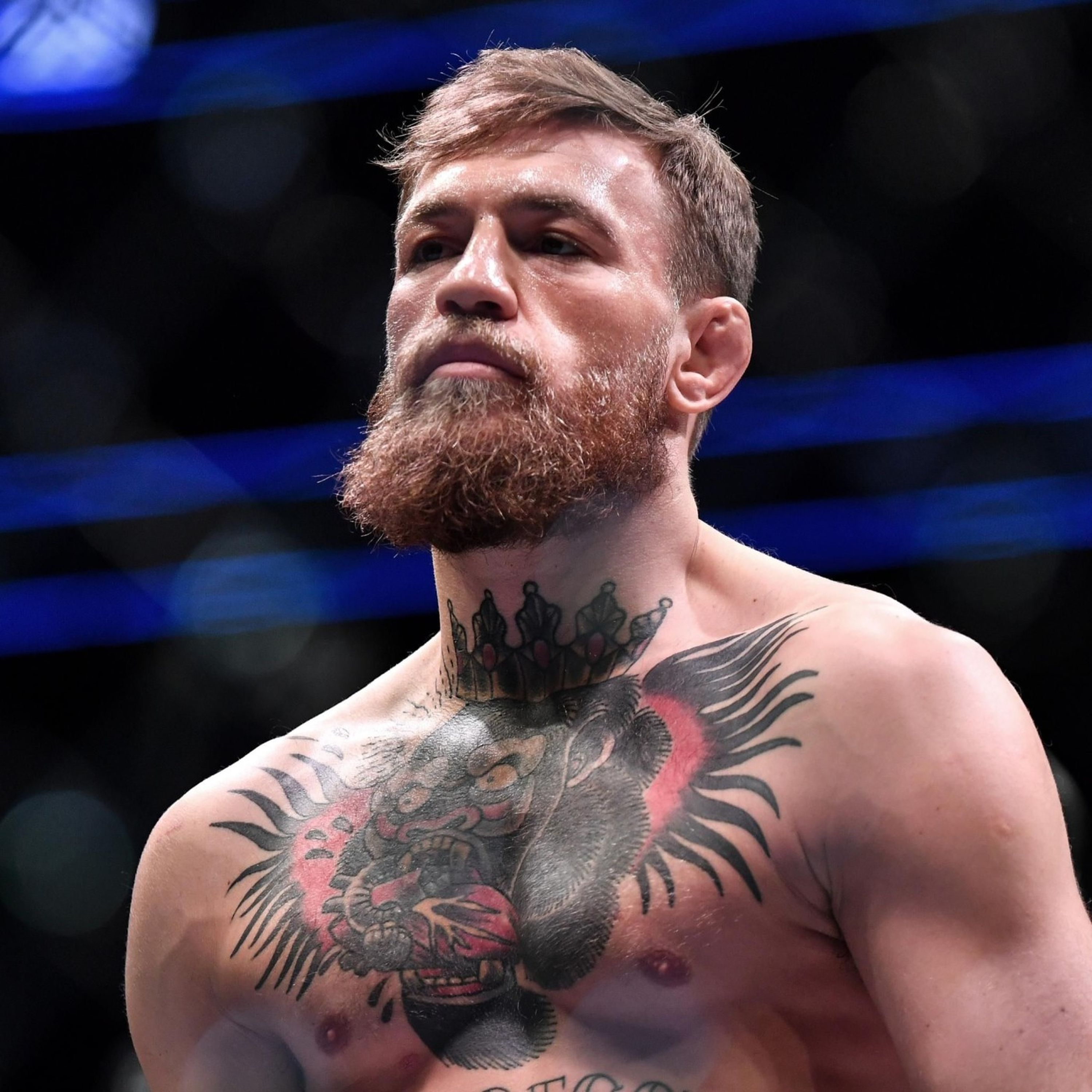 Conor McGregor - toujours pas de date de retour à l'UFC, ni d'adversaire