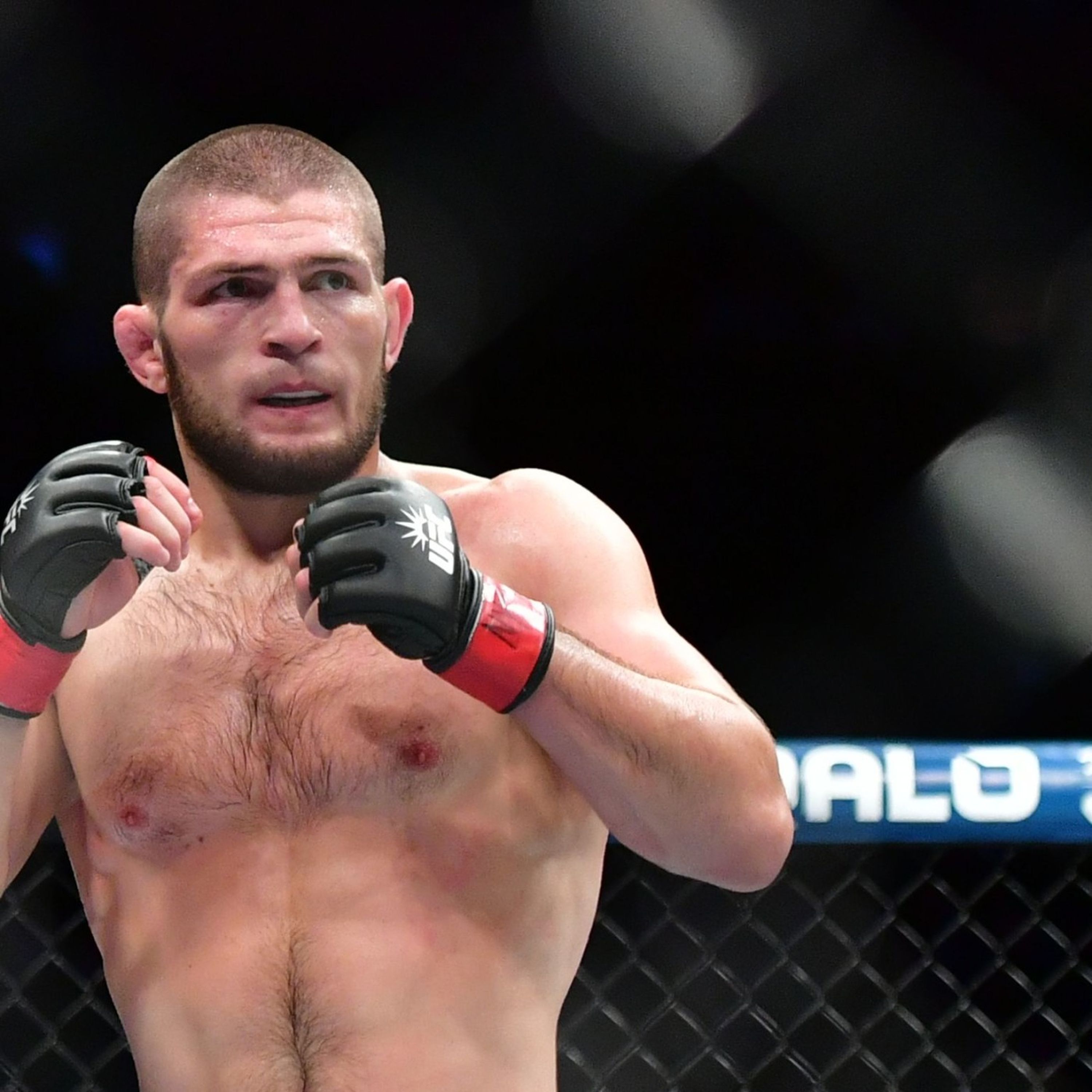 UFC 242 - Khabib Nurmagomedov doit battre Dustin Poirier mais...