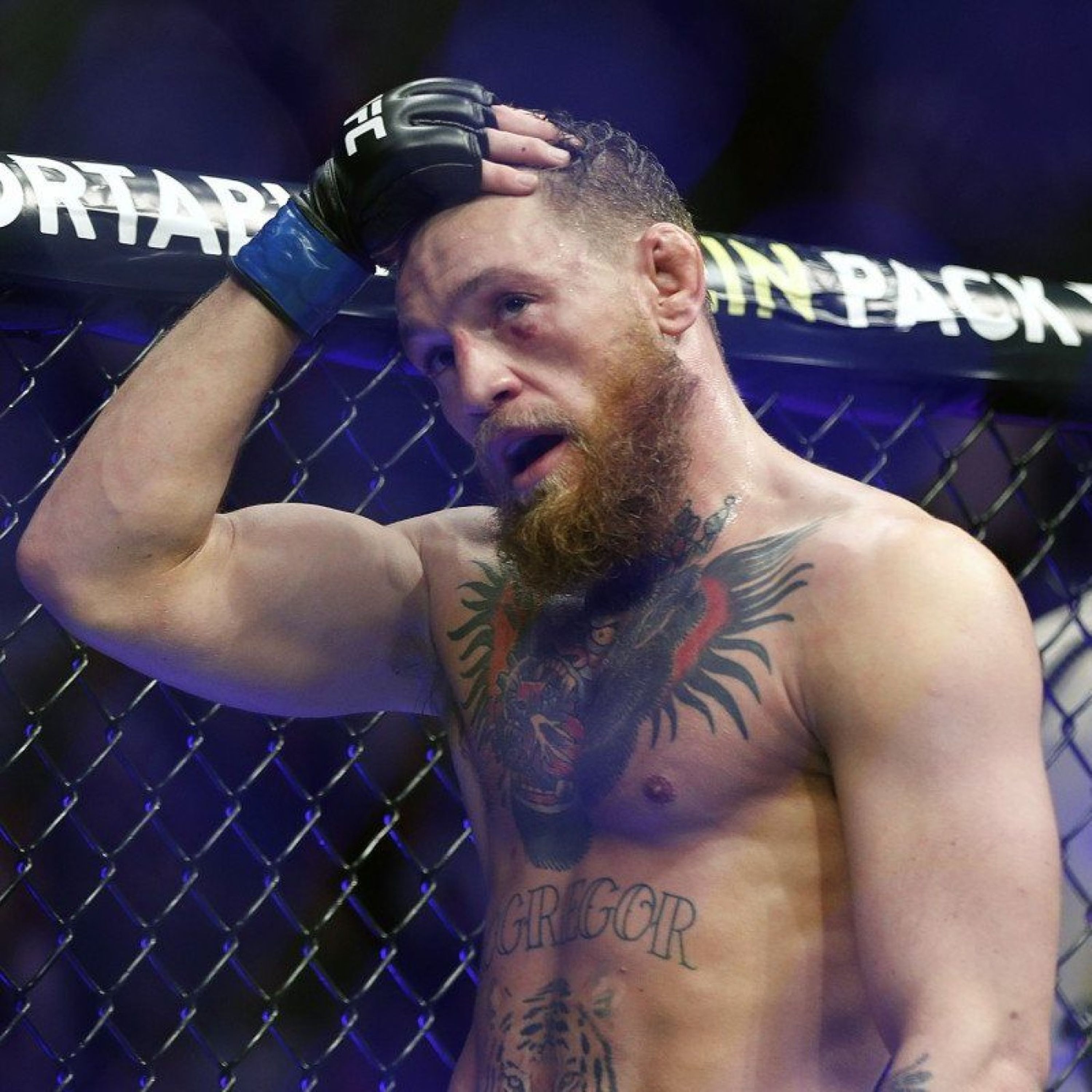 Conor McGregor, la chute de la superstar