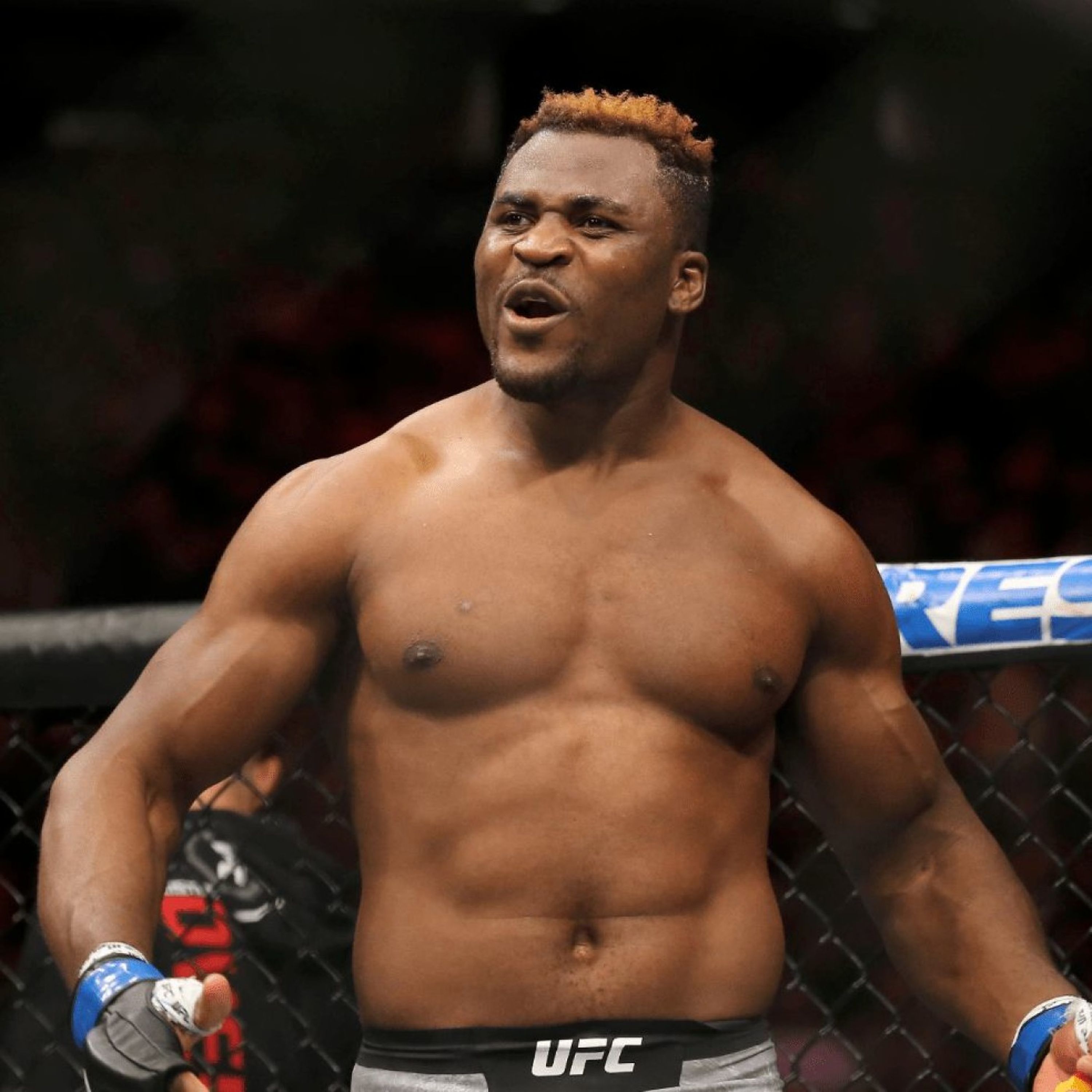 Interview Francis Ngannou - le combat contre Wilder, Miocic ou Cormier et l’UFC Paris en 2020