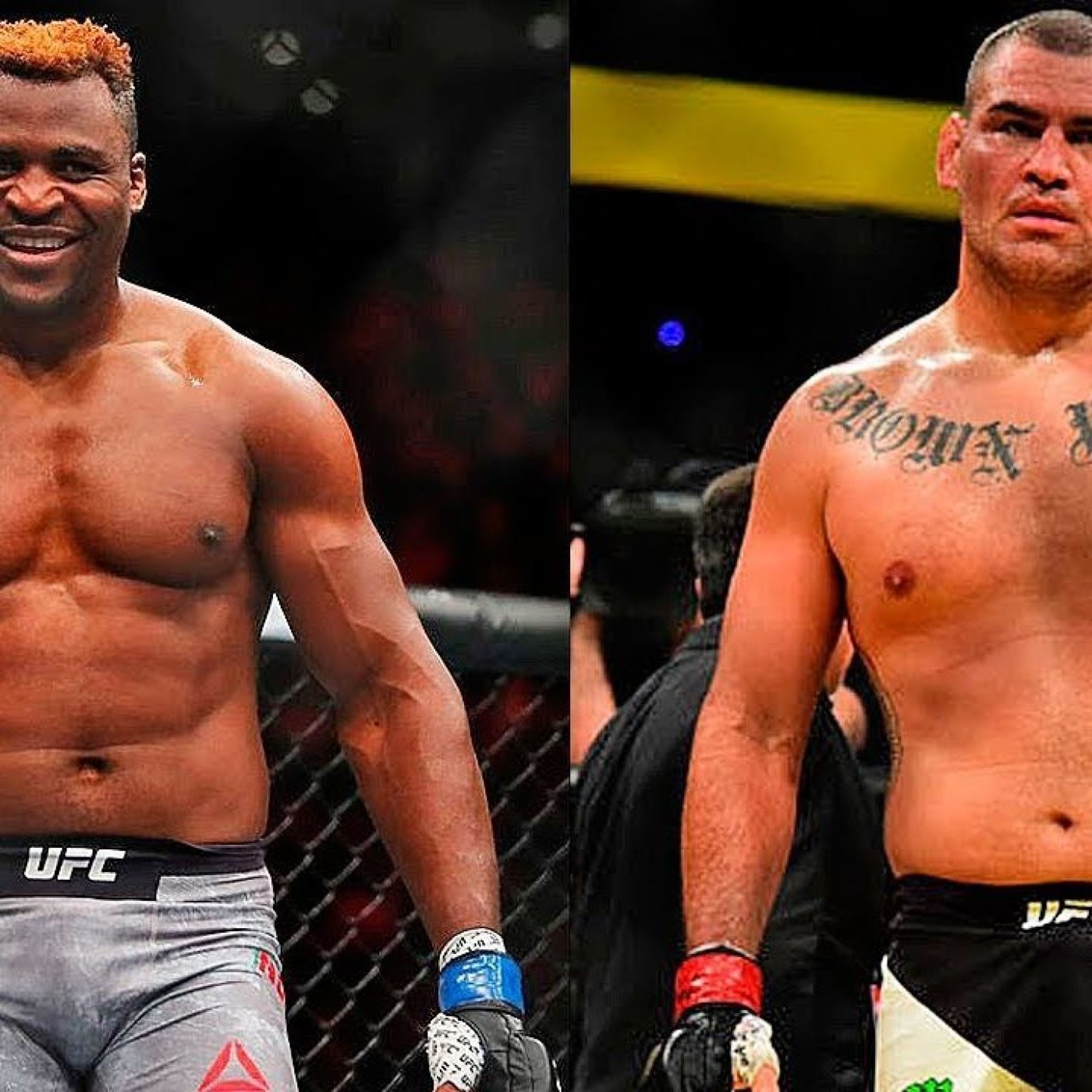 Francis Ngannou vs. Cain Velasquez - bonne idée ?