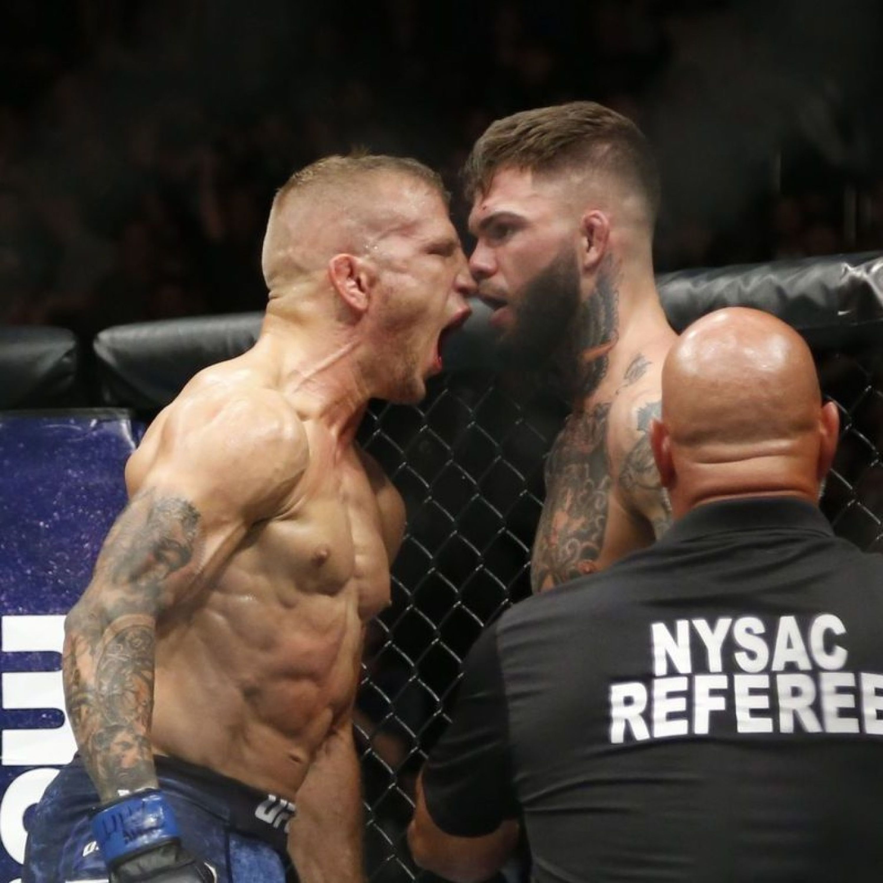 José Aldo toujours en vie, Poirier taille patron & Preview UFC 227 | Podcast La Sueur