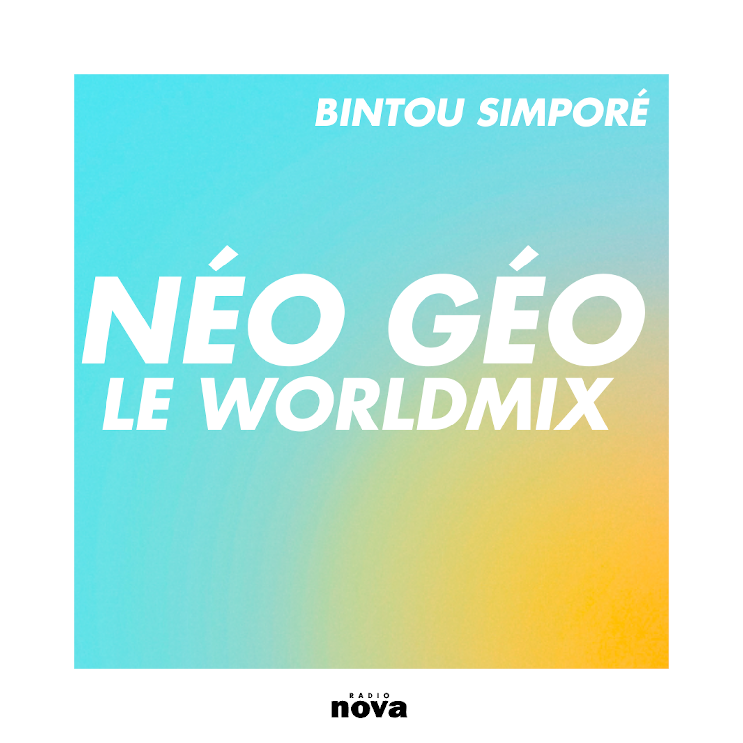 Néo Géo Nova : le Worldmix