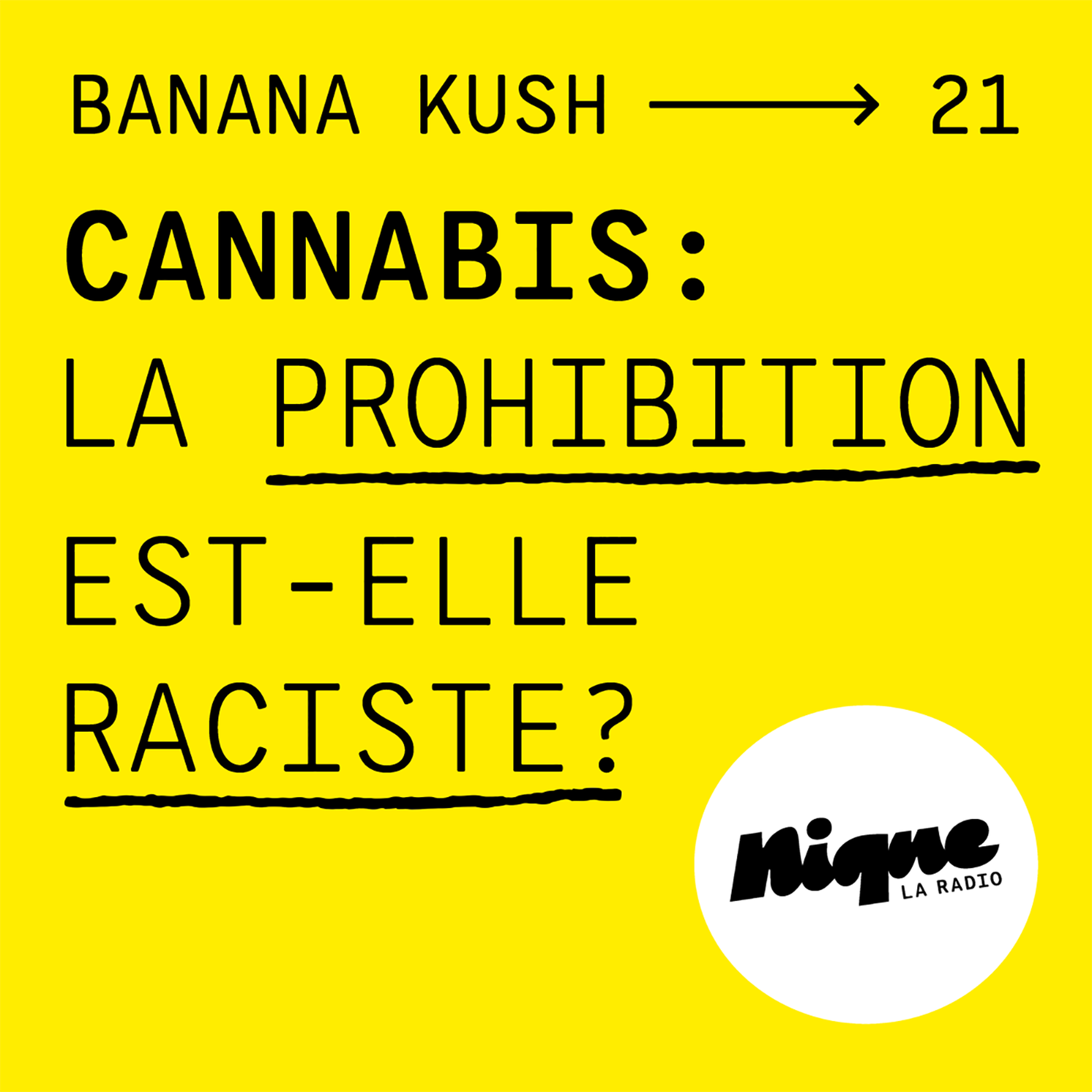 #21 - Cannabis : la prohibition est-elle raciste ?