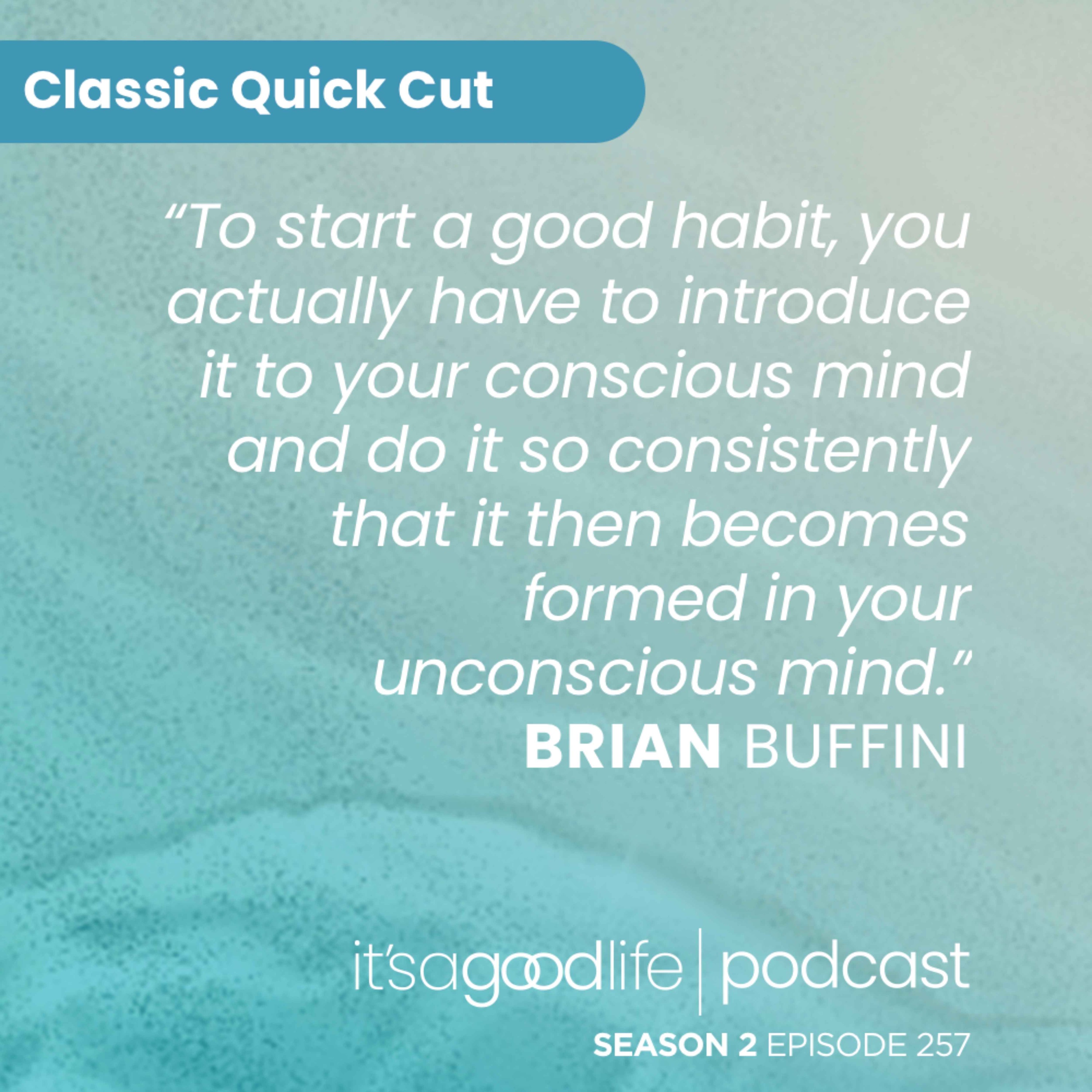 cover of episode Quick Cut: S2E257 My Best Habits