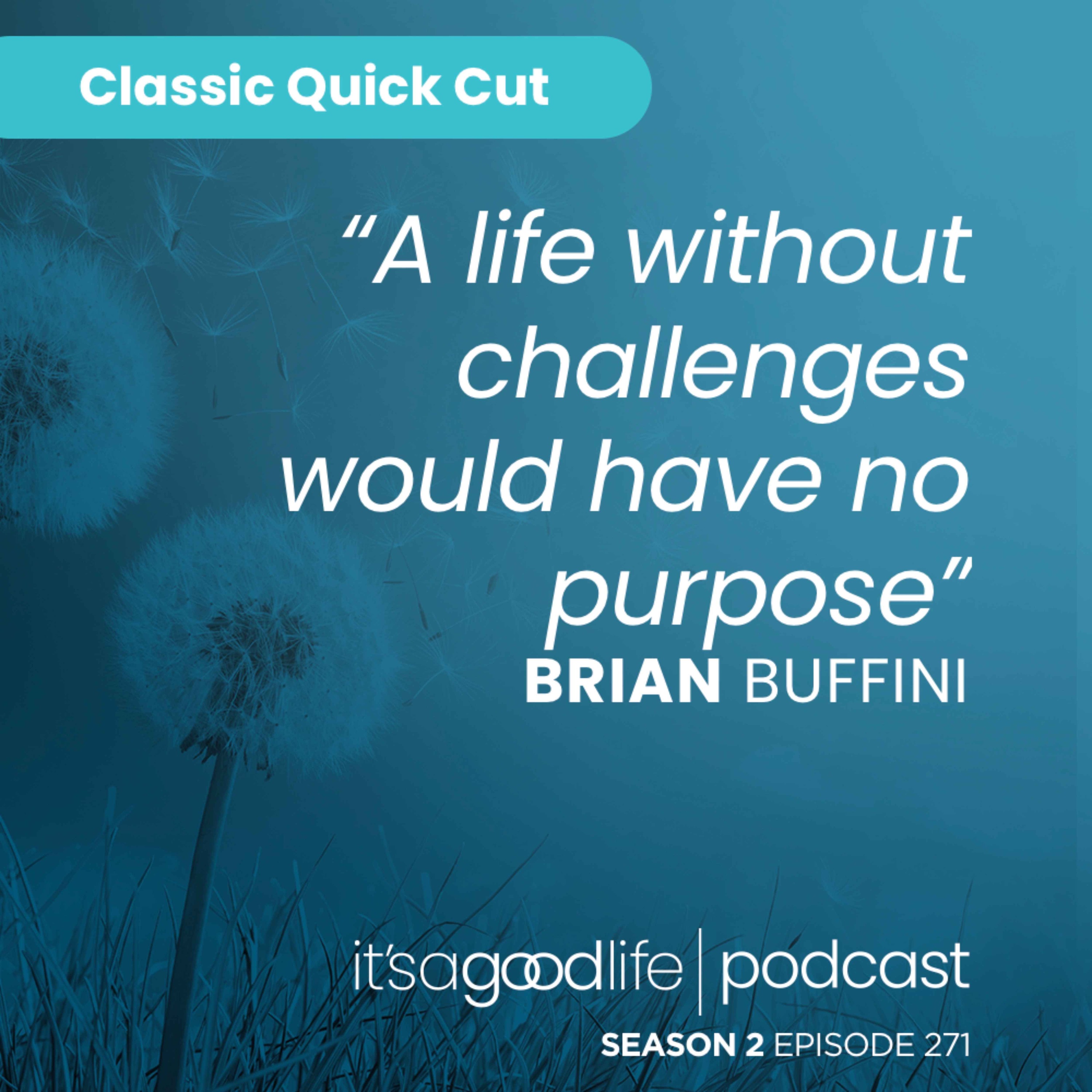 Quick Cut: S2E271 The Slow Burn of Success: Cultivating Patience