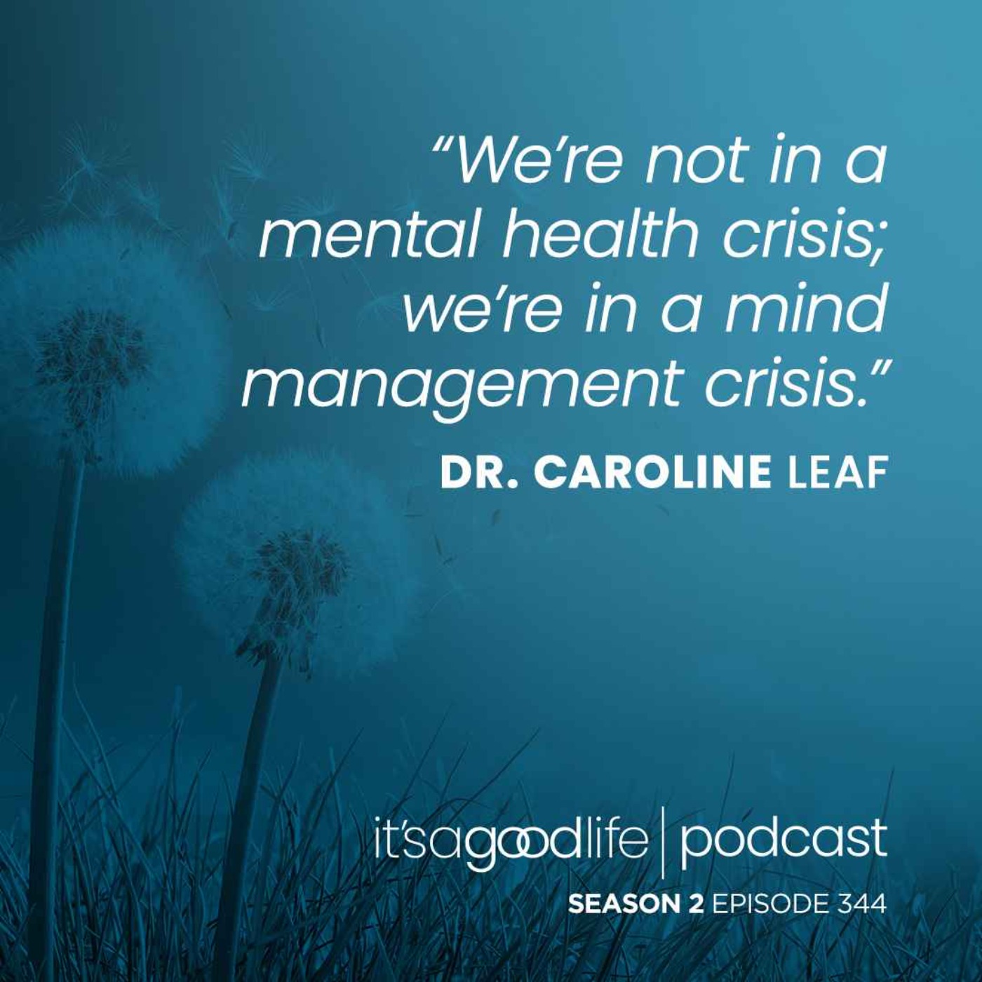 S2E344 Help in a Hurry - a Conversation with Dr. Caroline Leaf