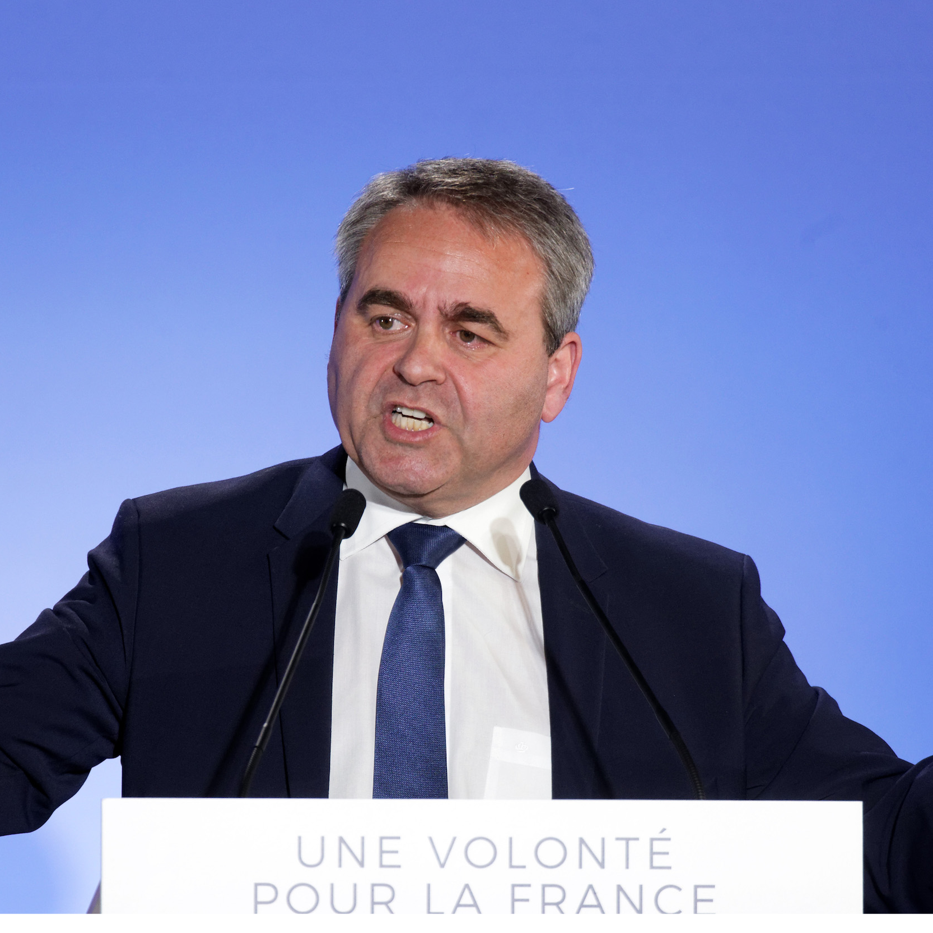 La grille du coq