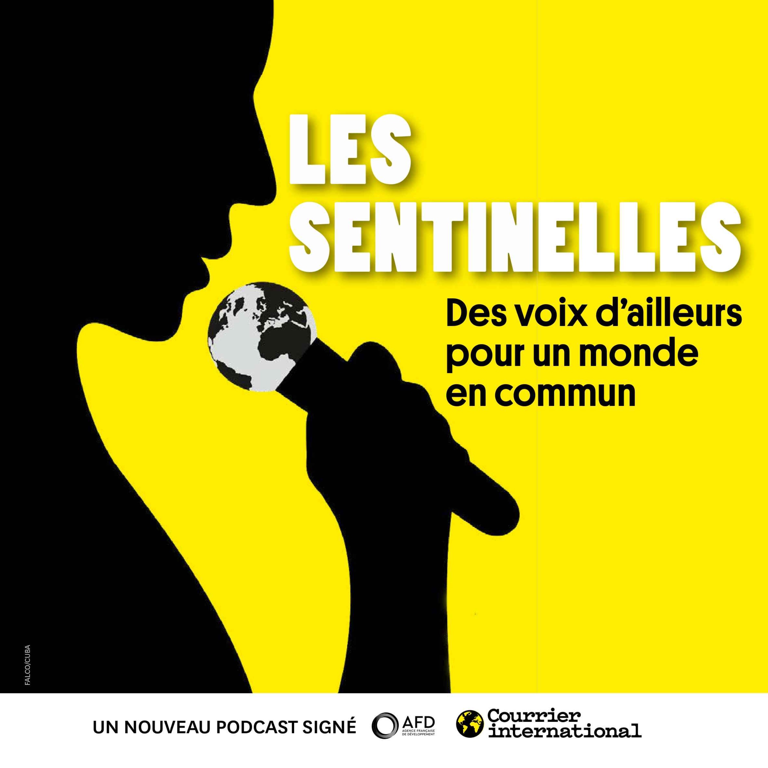 cover art for Ibrahim Diallo, au Niger : “Rien ne peut nous empêcher de publier nos informations”