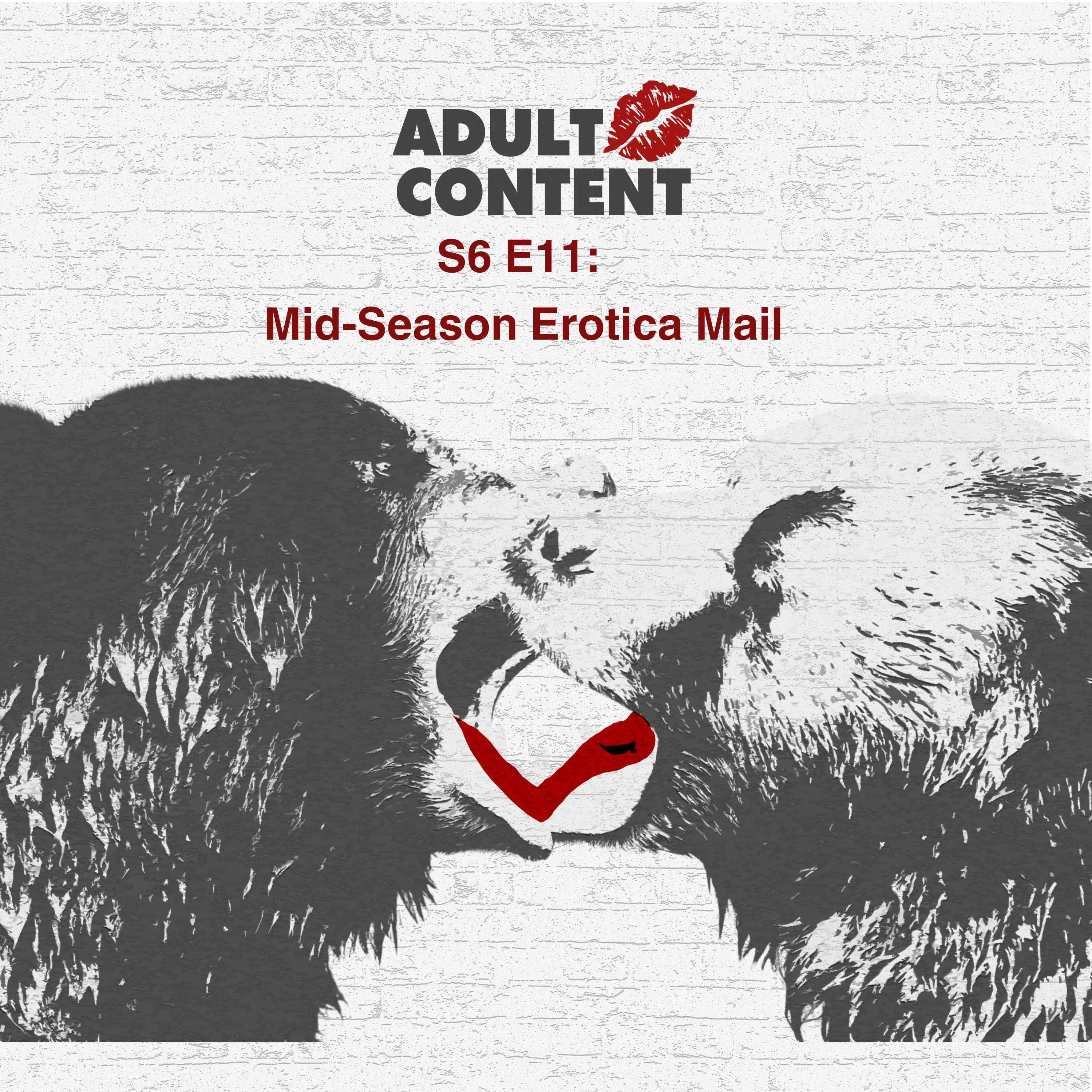 S6 E11: Mid-Season Erotica Mail