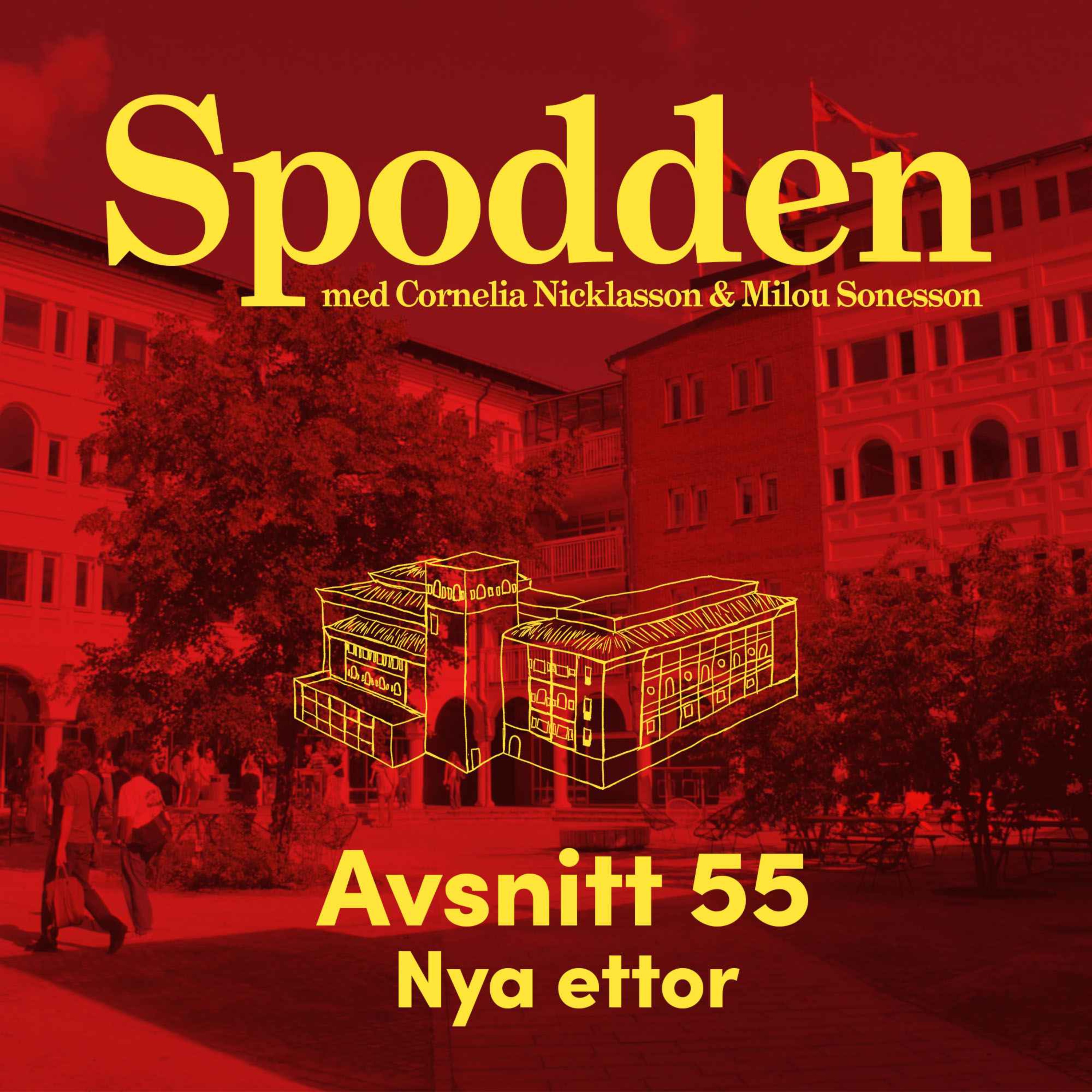 Spodden