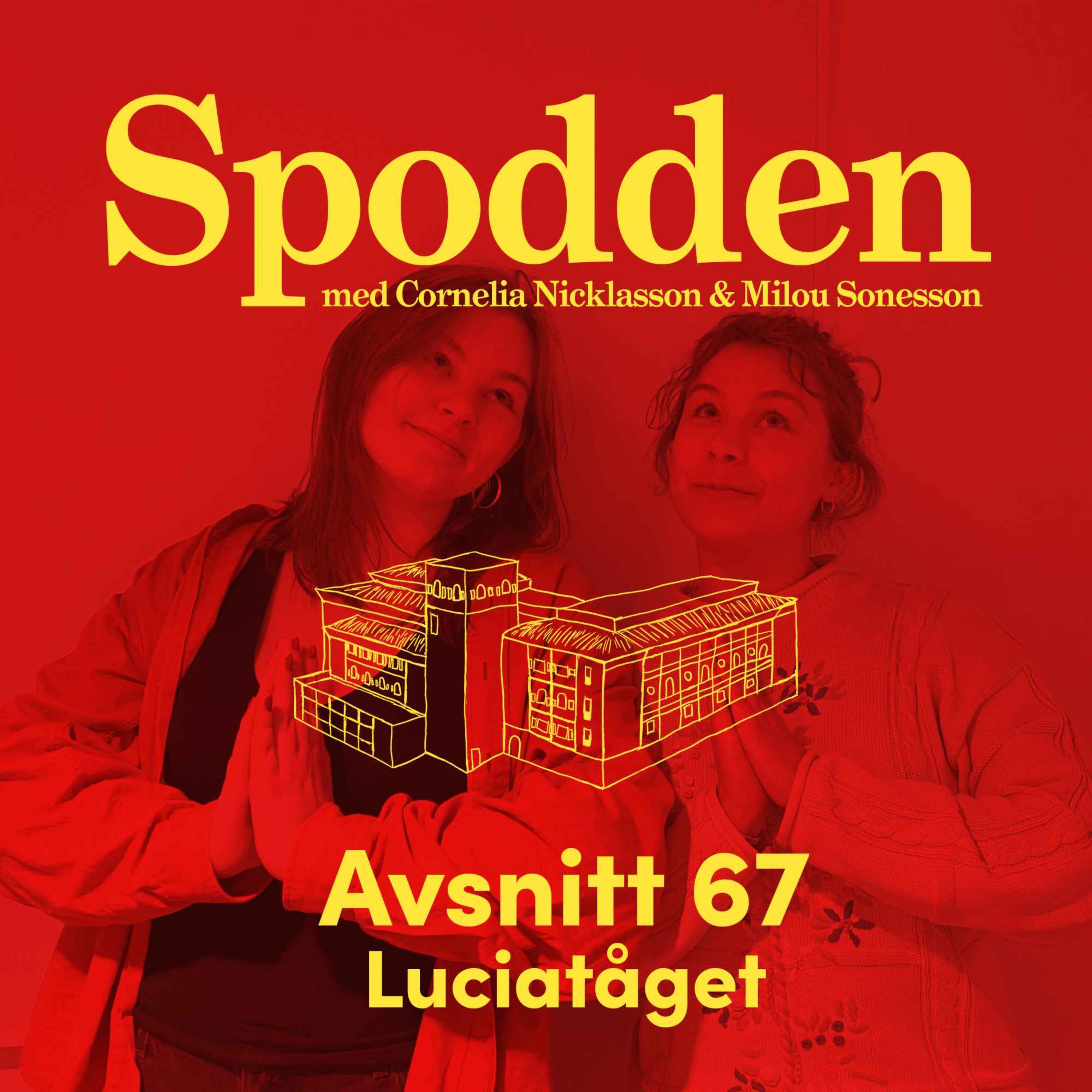 Spodden