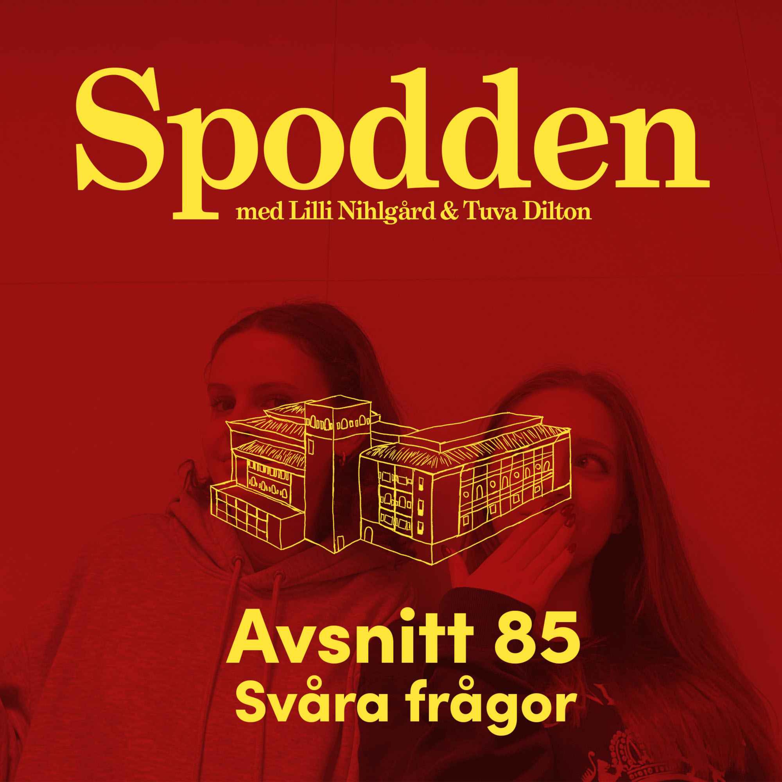 Spodden
