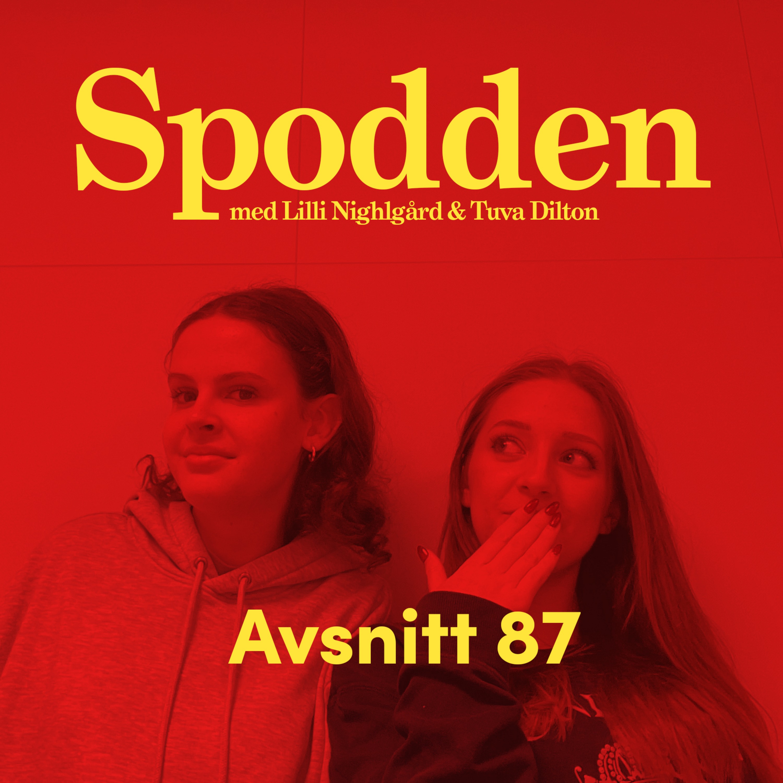 Spodden