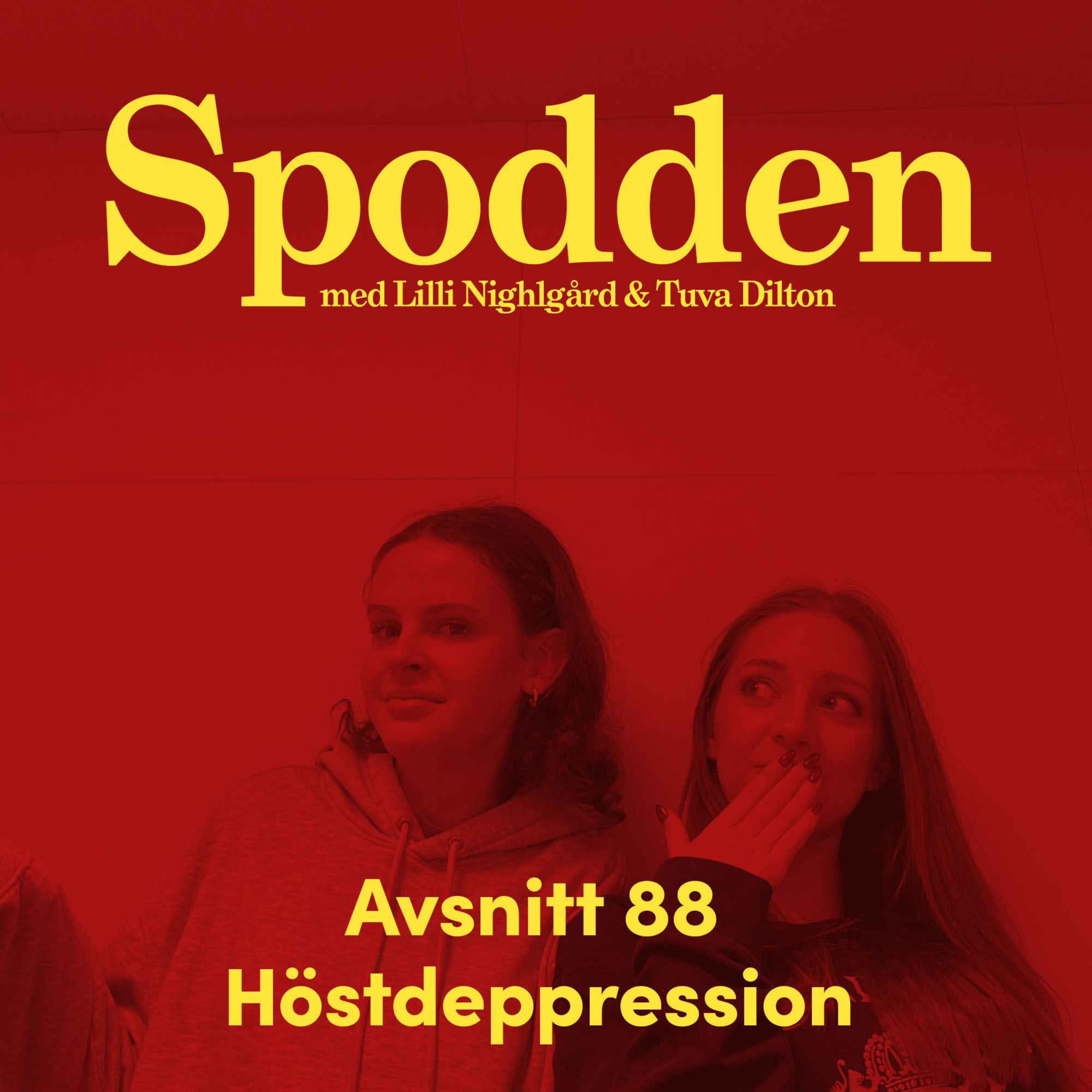 Spodden