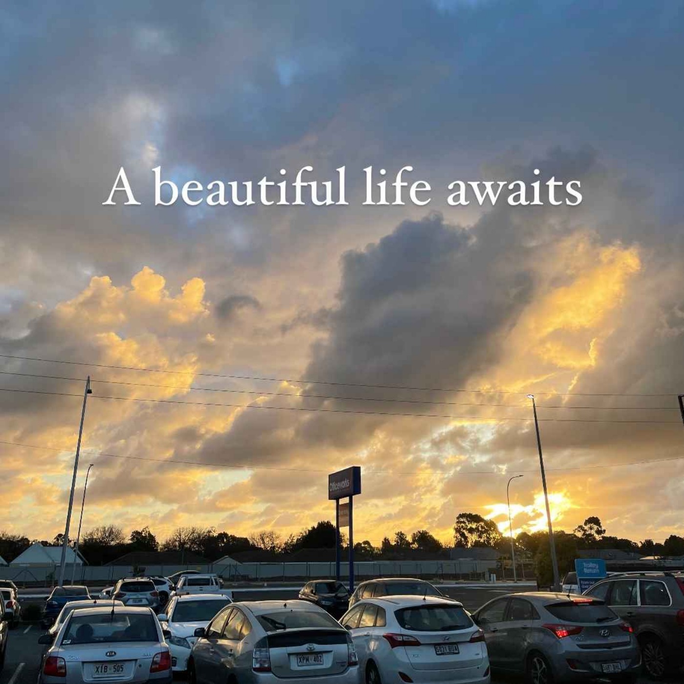 A beautiful life awaits