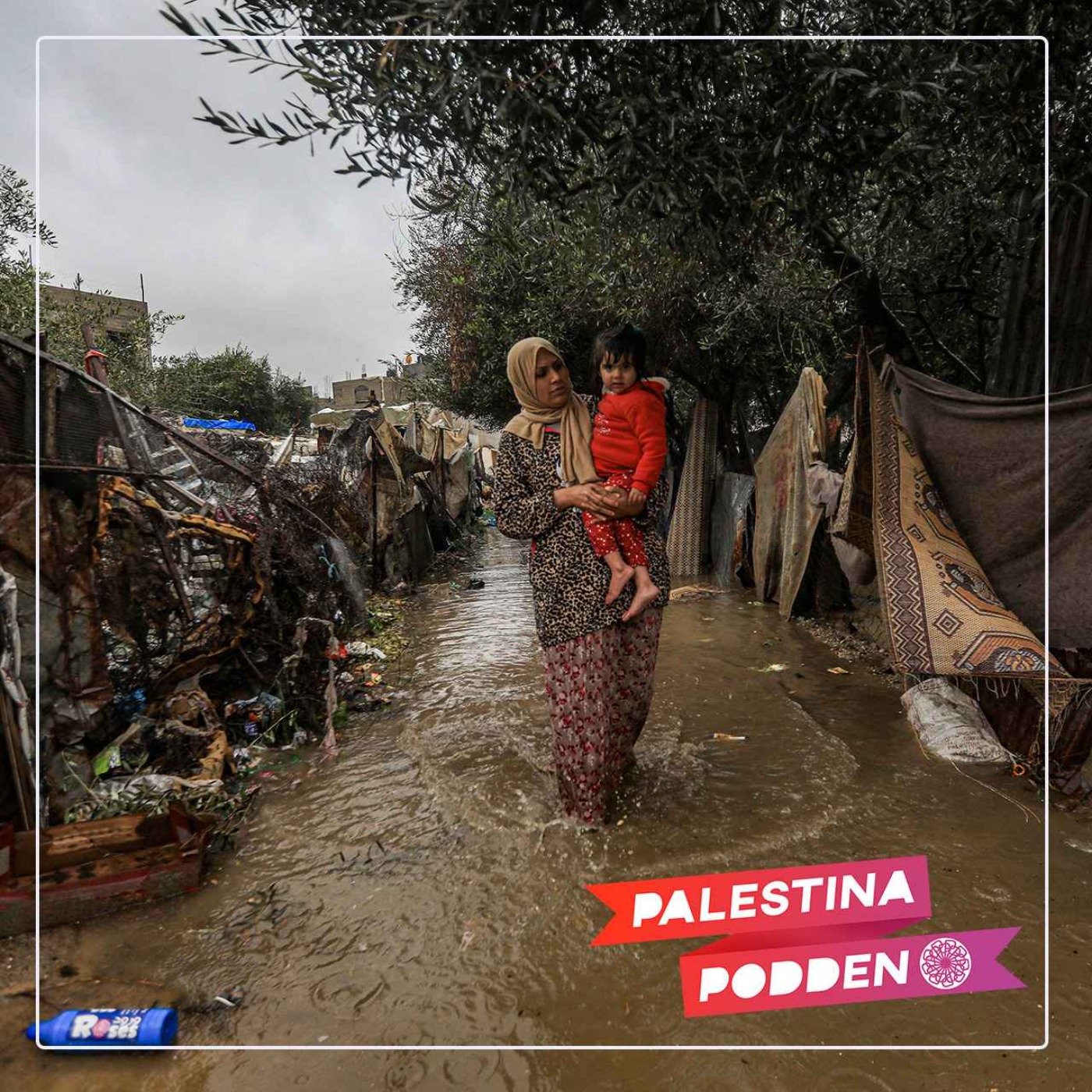 PalestinaPodden