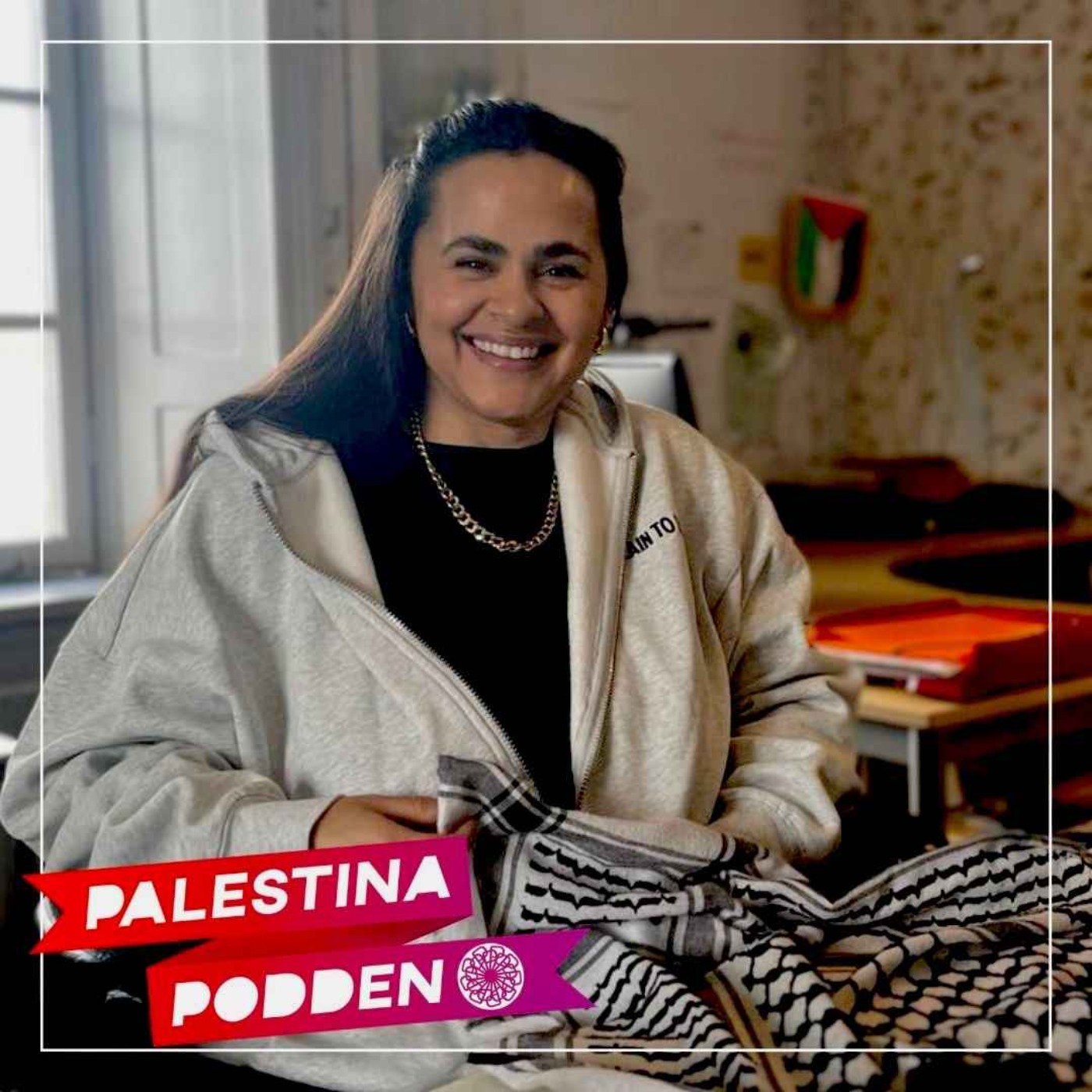 Palestinasolidaritet – samtal med Mona Mansour episode artwork