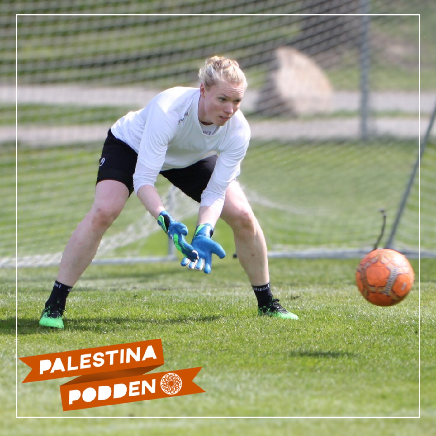 Idrott och solidaritet – med Hedvig Lindahl episode artwork