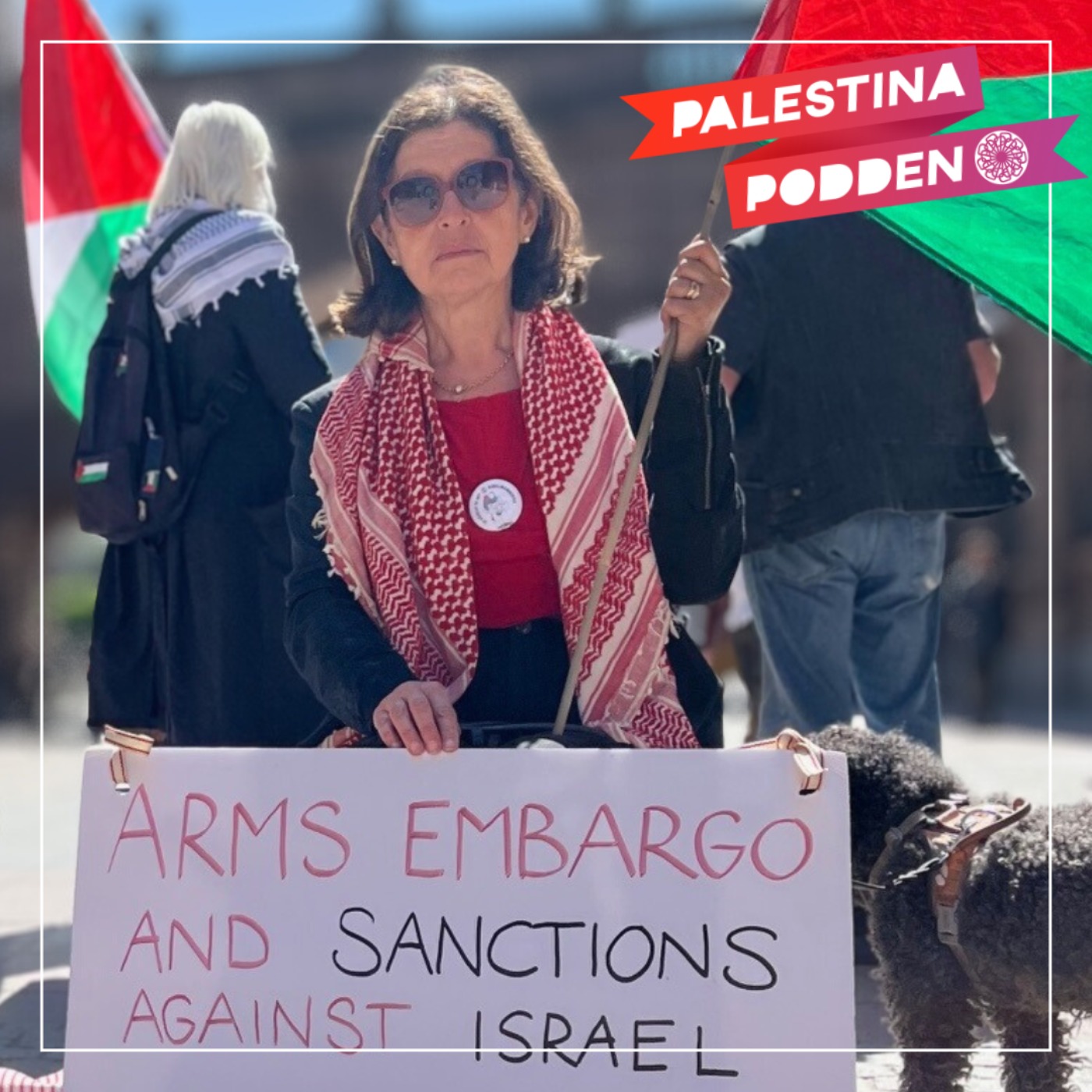 Palestinasolidaritet – samtal med Victoria Strand Palestinasolidaritet – samtal med Victoria Strand