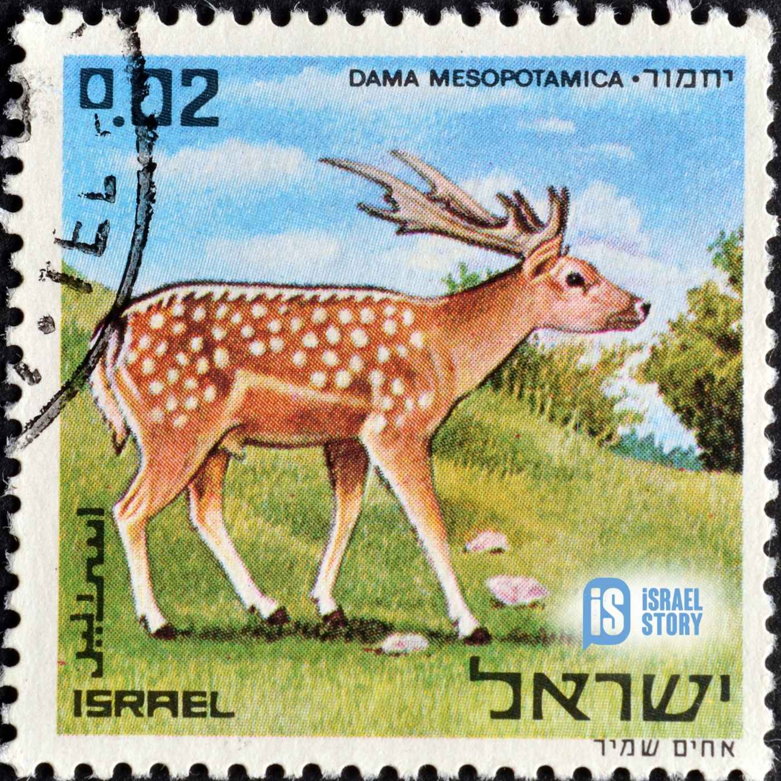 166: Frankly, My Deer 166: Frankly, My Deer