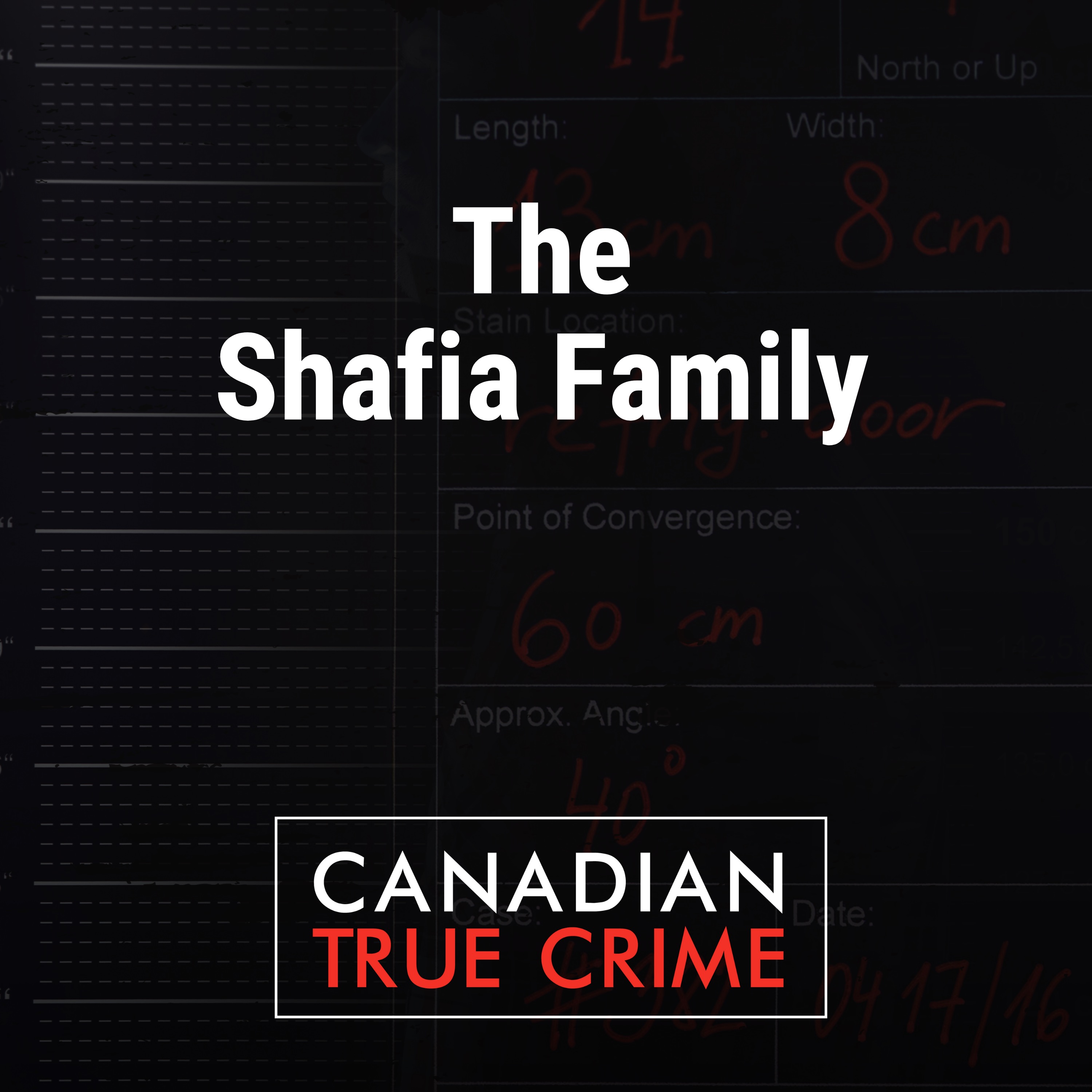 Episode Logo