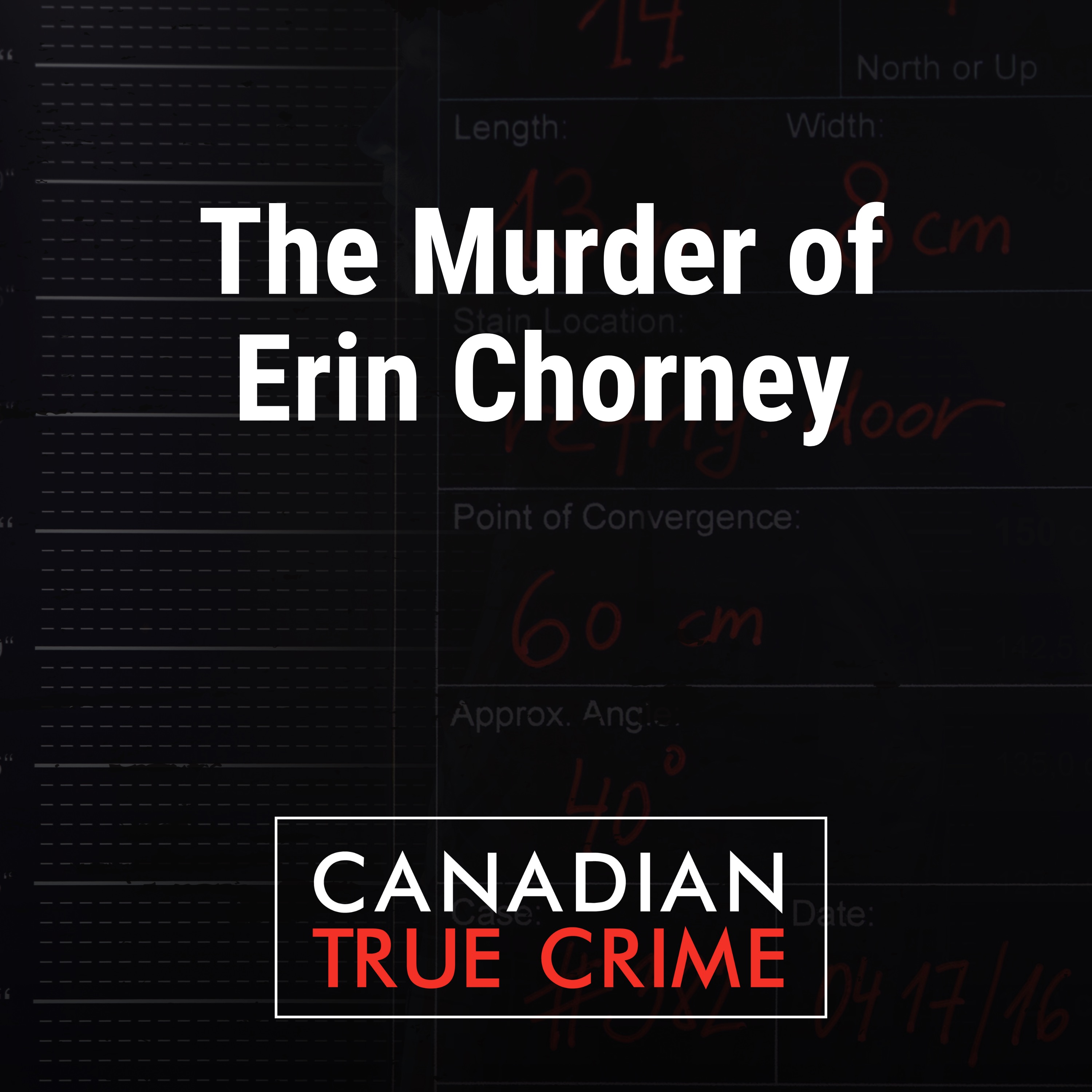 Episode Logo