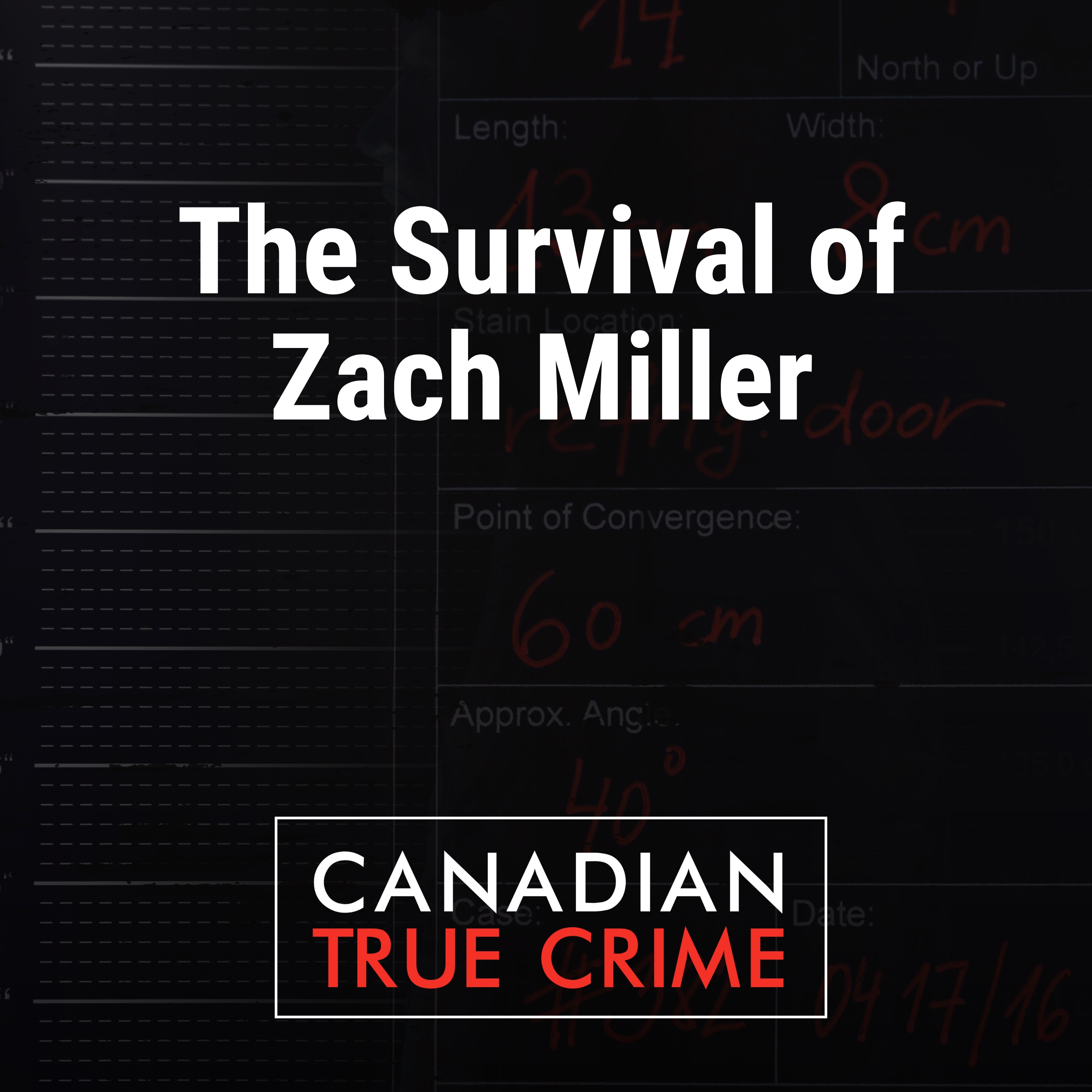 Episode Logo