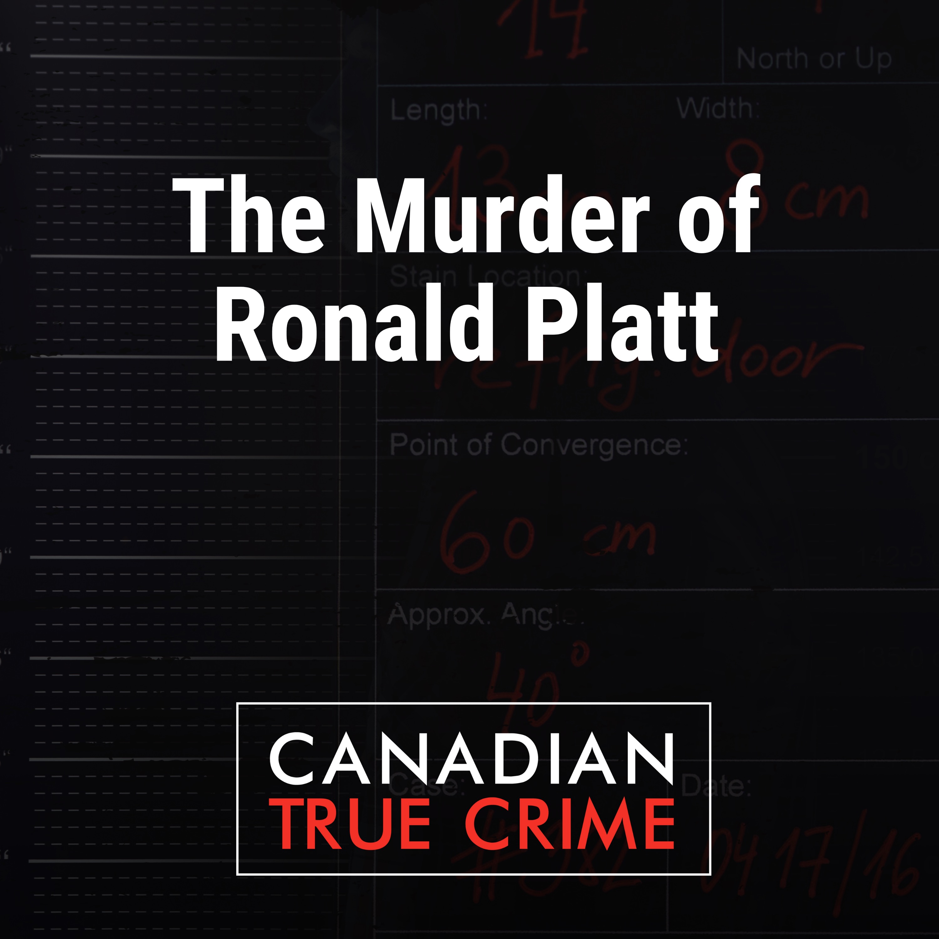 Episode Logo