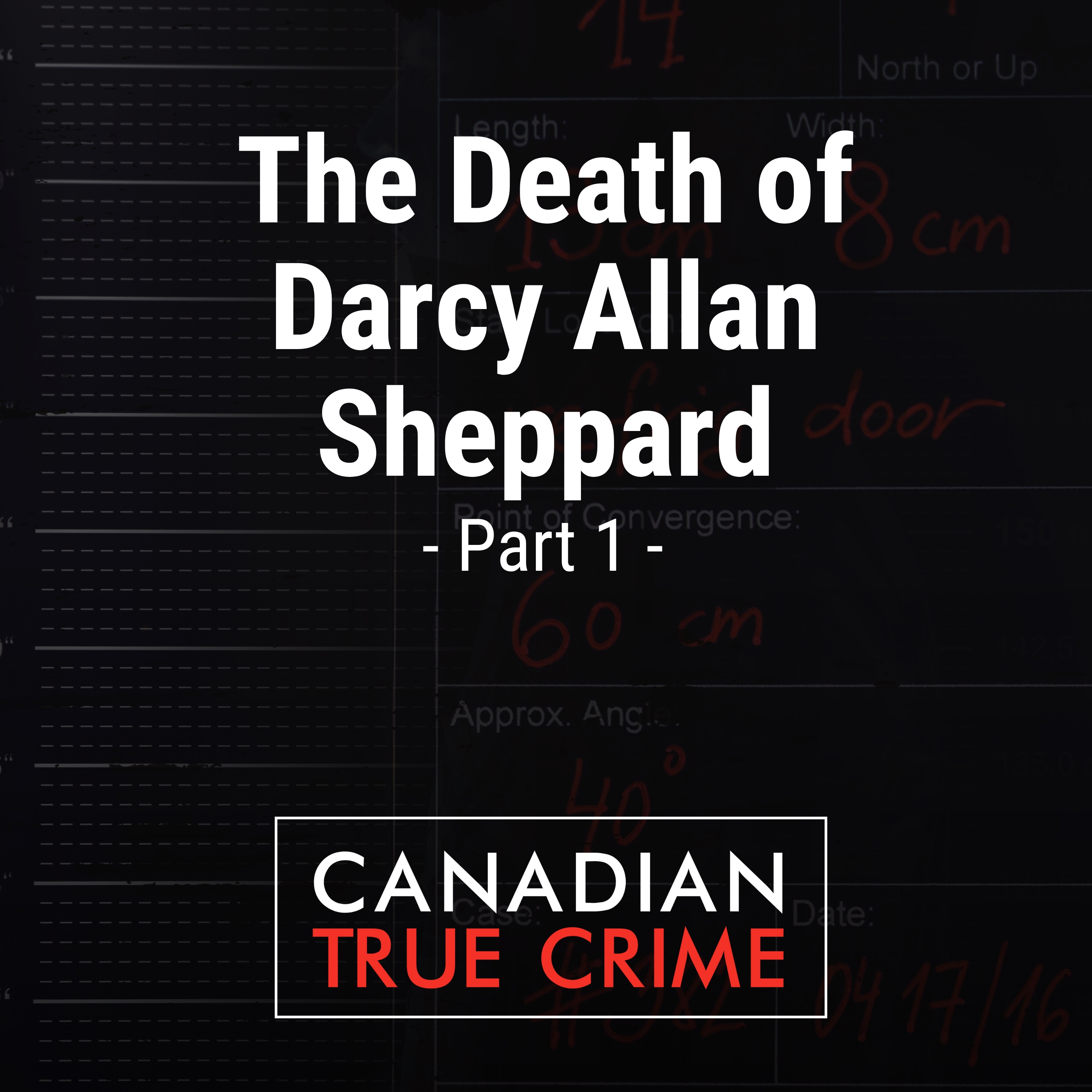 The Death of Darcy Allan Sheppard [1]